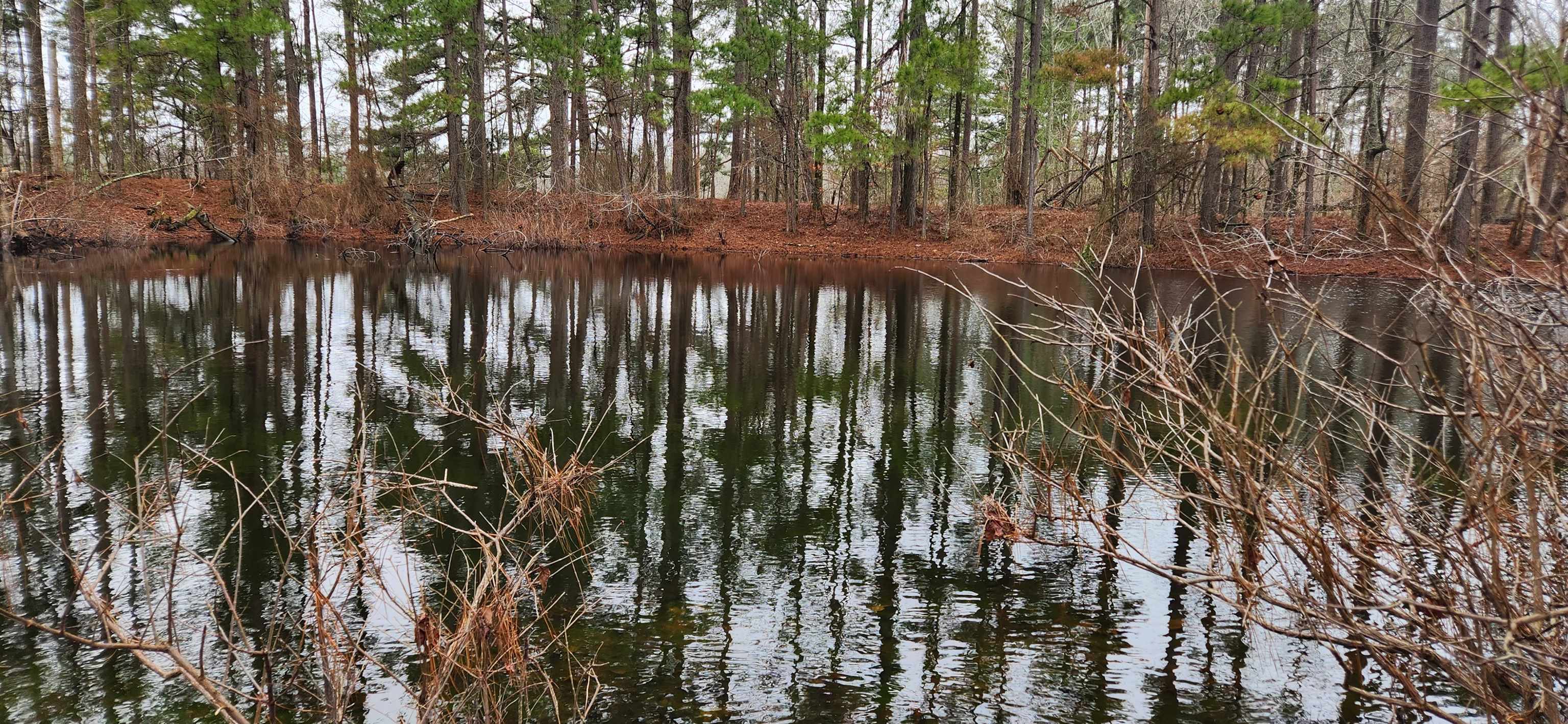 Metes & Bounds - Farm