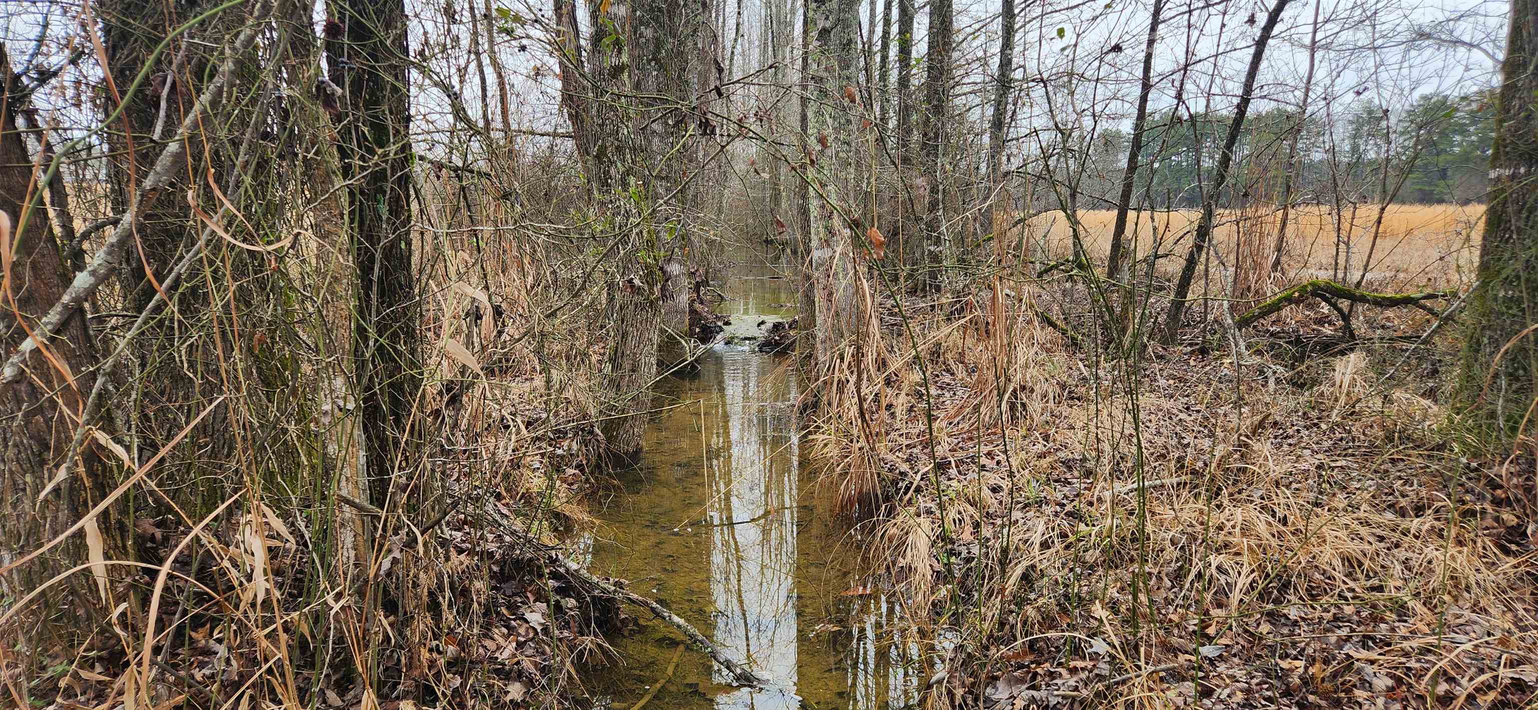 Metes & Bounds - Farm