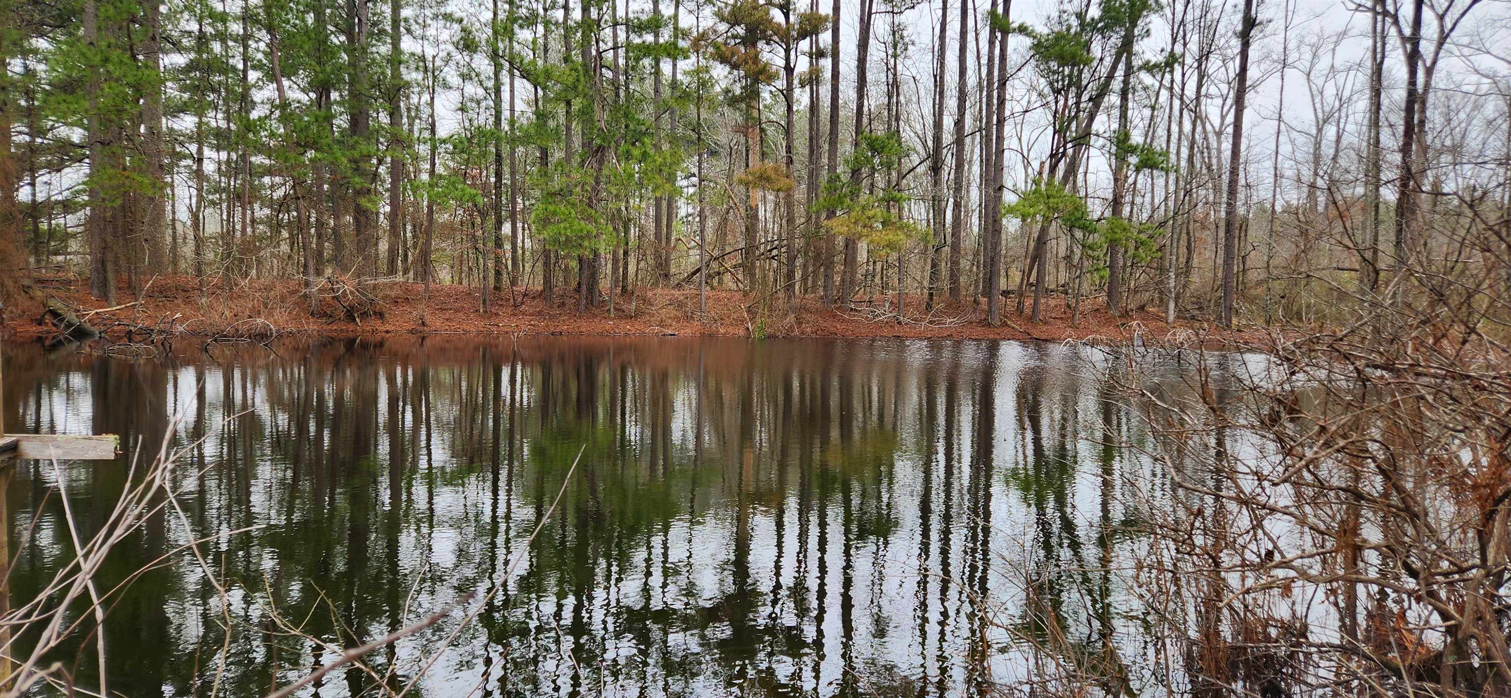 Metes & Bounds - Farm