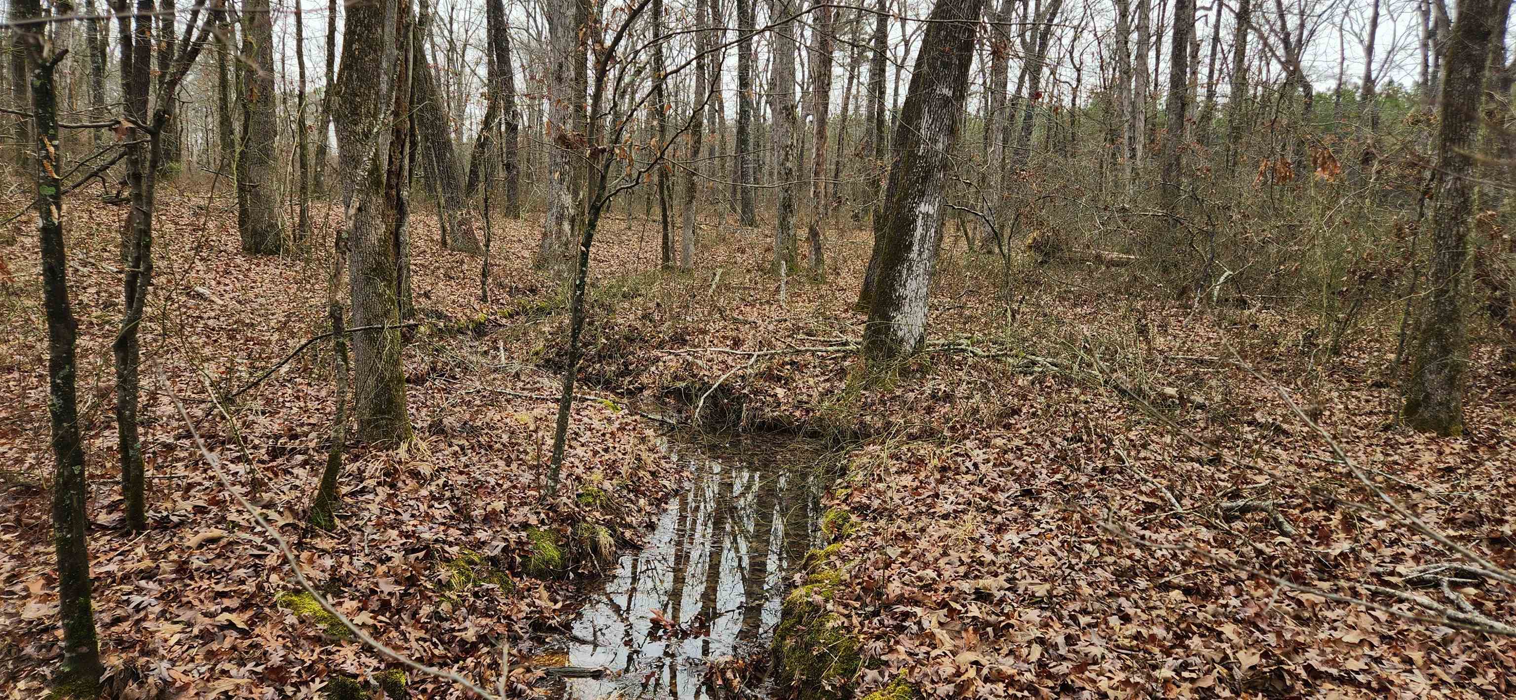 Metes & Bounds - Farm