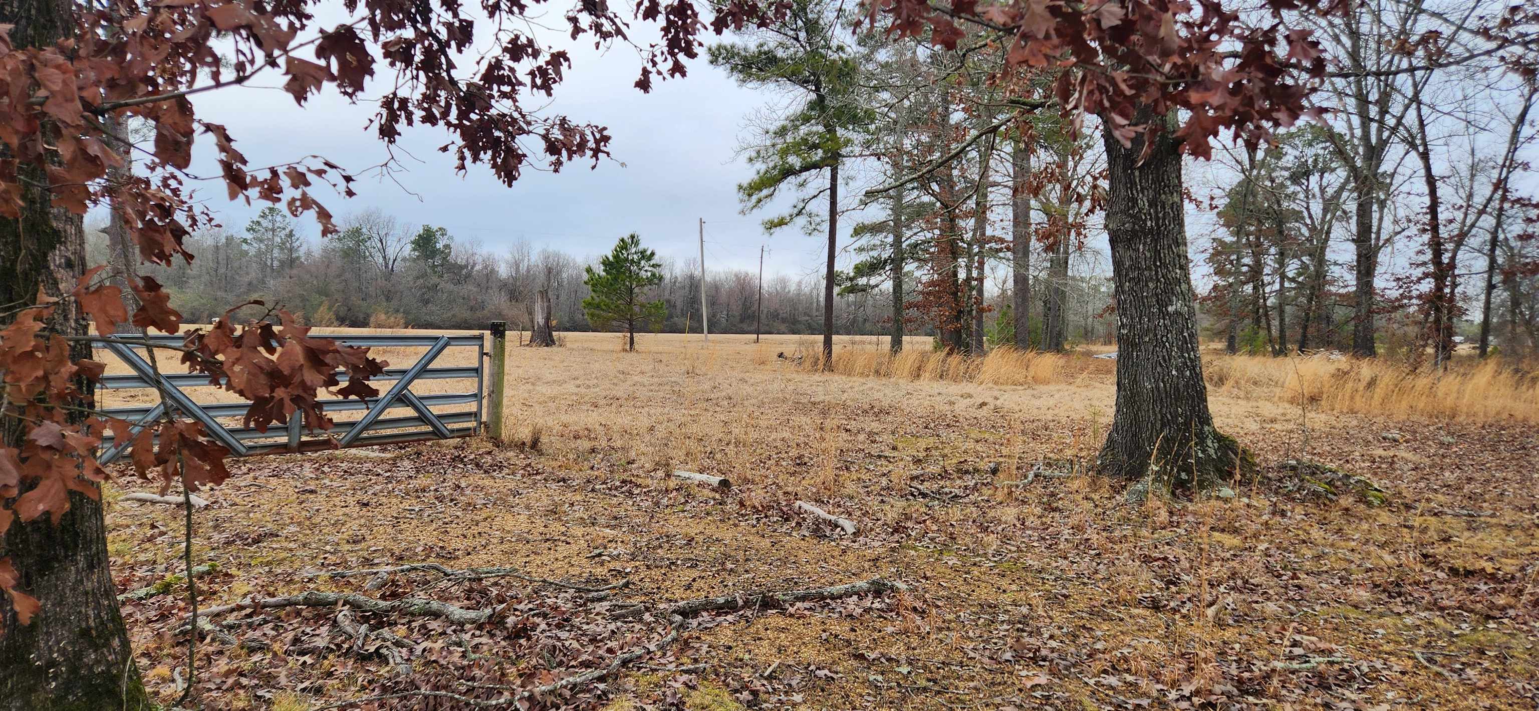 Metes & Bounds - Farm