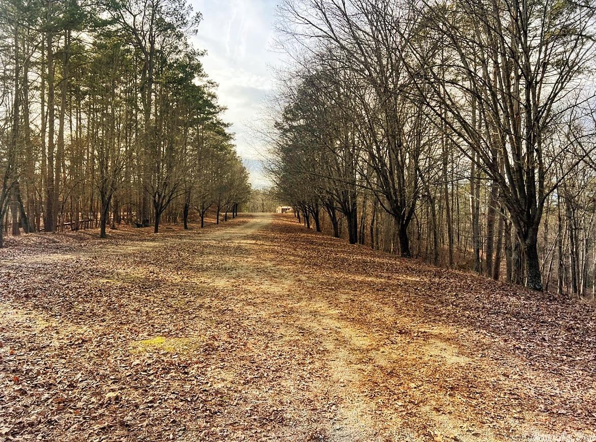 Diamondhead J - Land