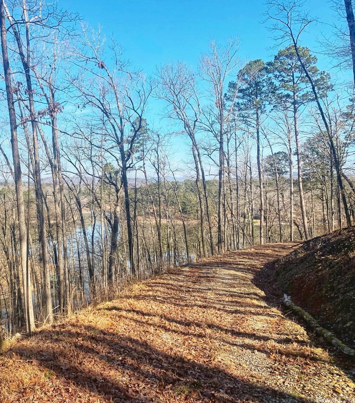 Diamondhead J - Land