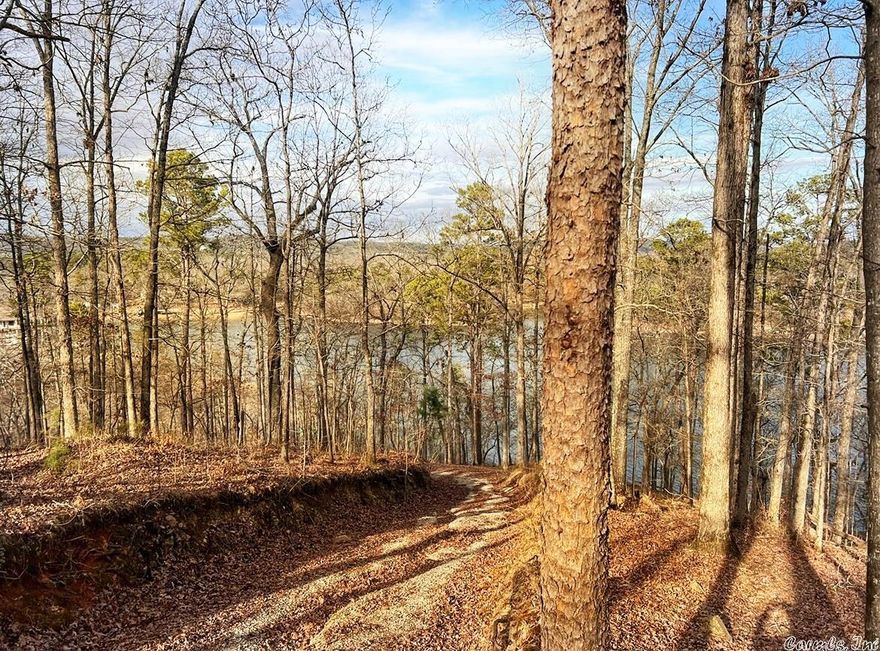 Have you been dreaming of owning multiple acres of prime secluded lake front land surrounded by the majestic Ouachita mountains?Have you been told that a property with these kinds of views could not possibly exist with amenities such as Lake access, utilities in place, personal boat slip, 18-hole PGA golf course, community swimming pool, club house, and a tennis and basketball court? All the while potentially owner financing these dreams? Avon shire Terrace is the key to turning your dreams into reality!