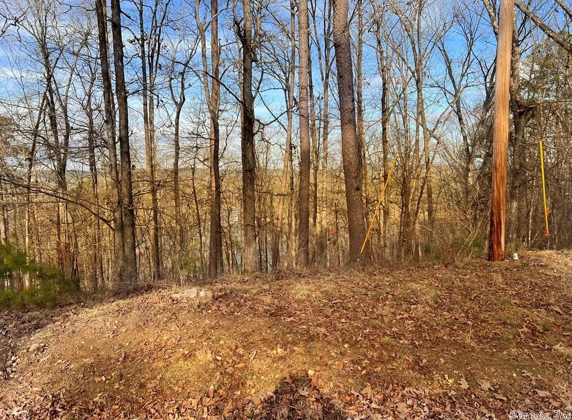 Diamondhead J - Land