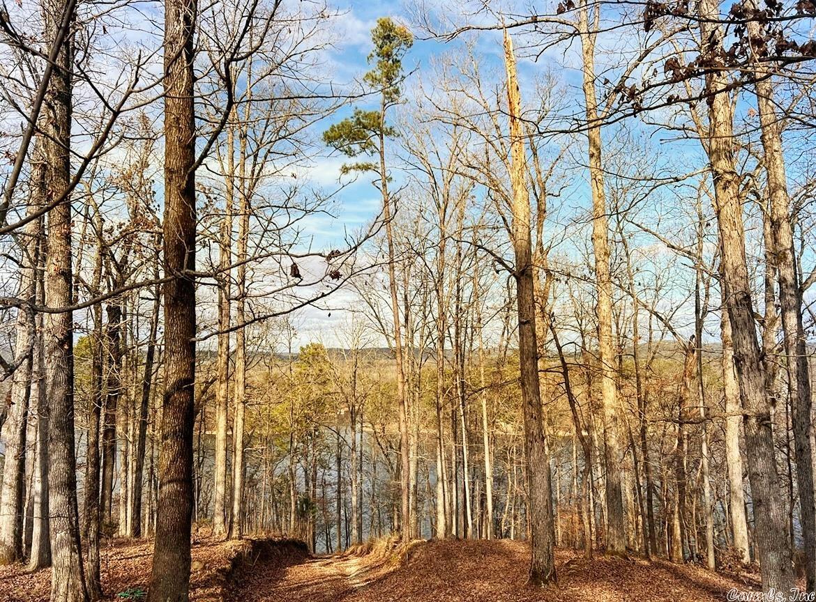 Diamondhead J - Land