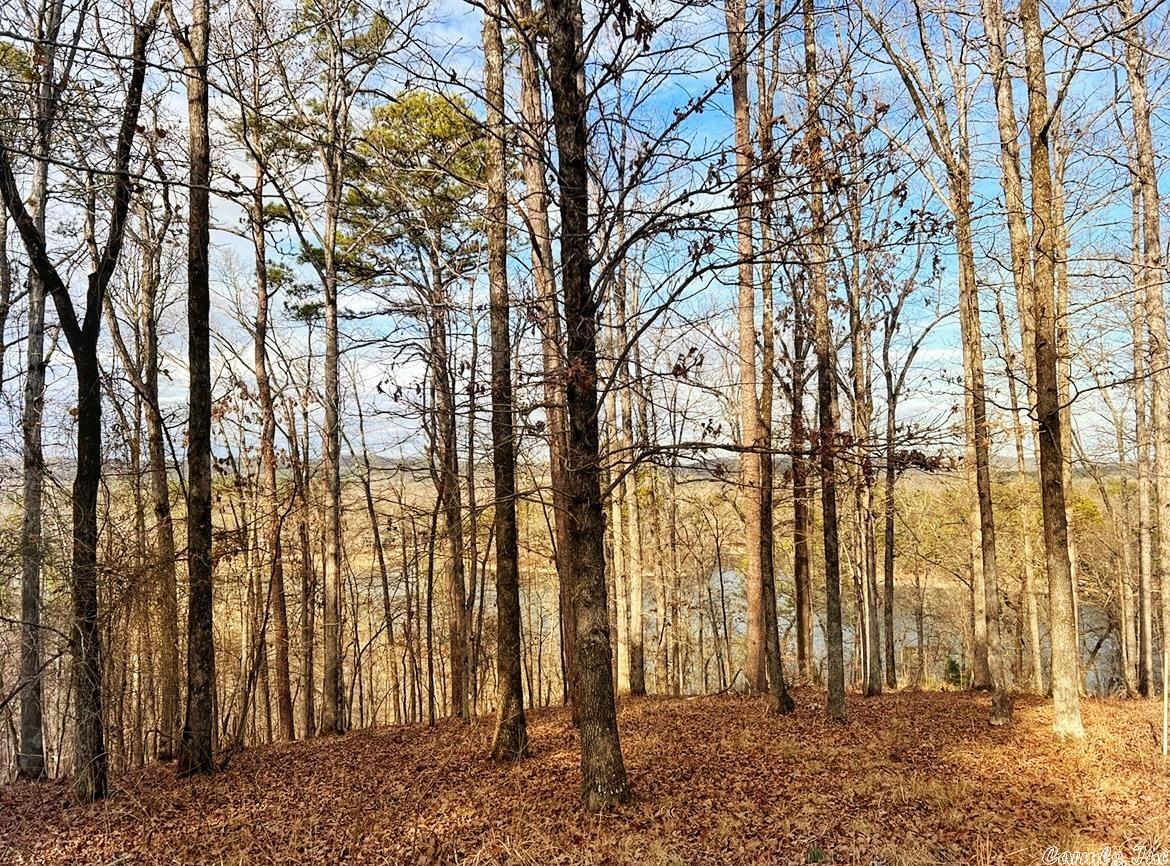 Diamondhead J - Land