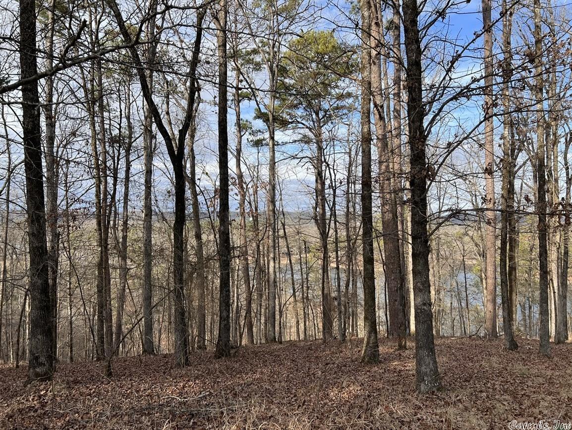 Diamondhead J - Land