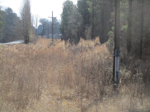 Metes & Bounds - Land