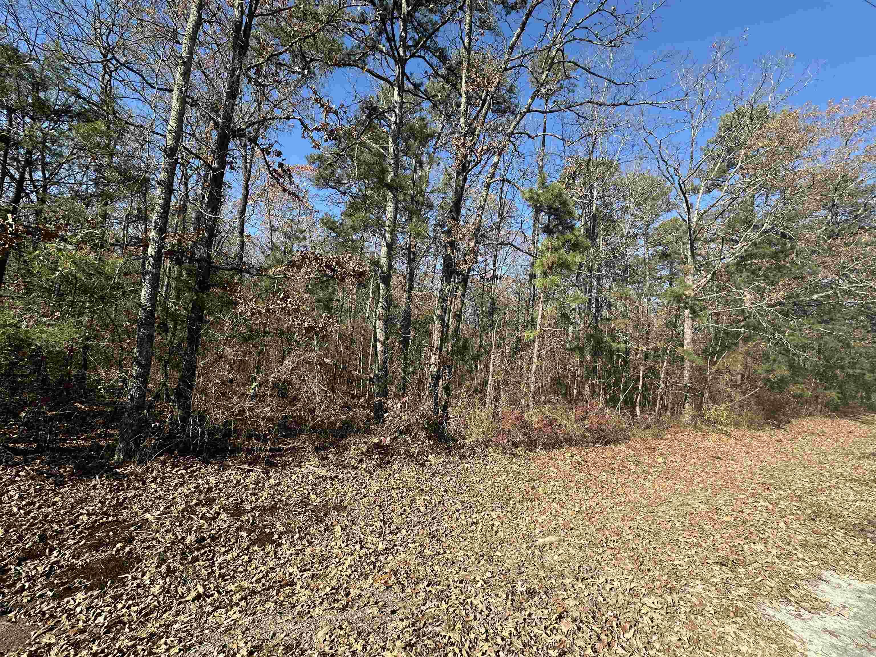 Nice buildable lots located right in the middle of town and close to EVERYTHING. These won't last long so call today.