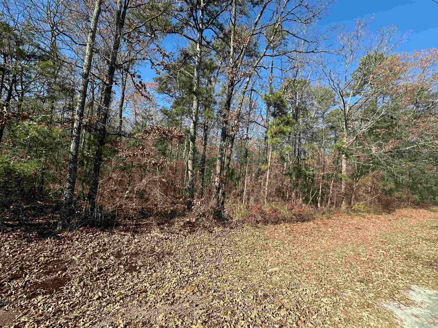 Nice buildable lots located right in the middle of town and close to EVERYTHING. These won't last long so call today.