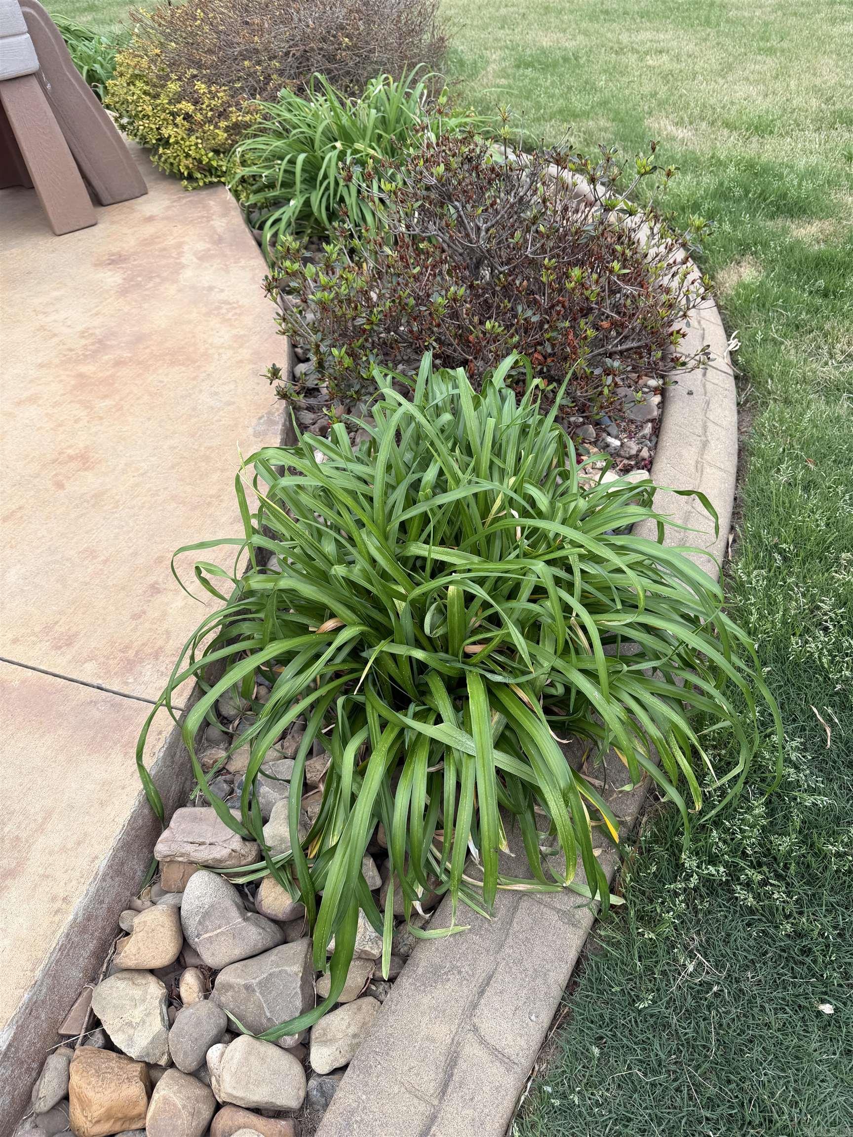 CAROLINE ACRES - Residential