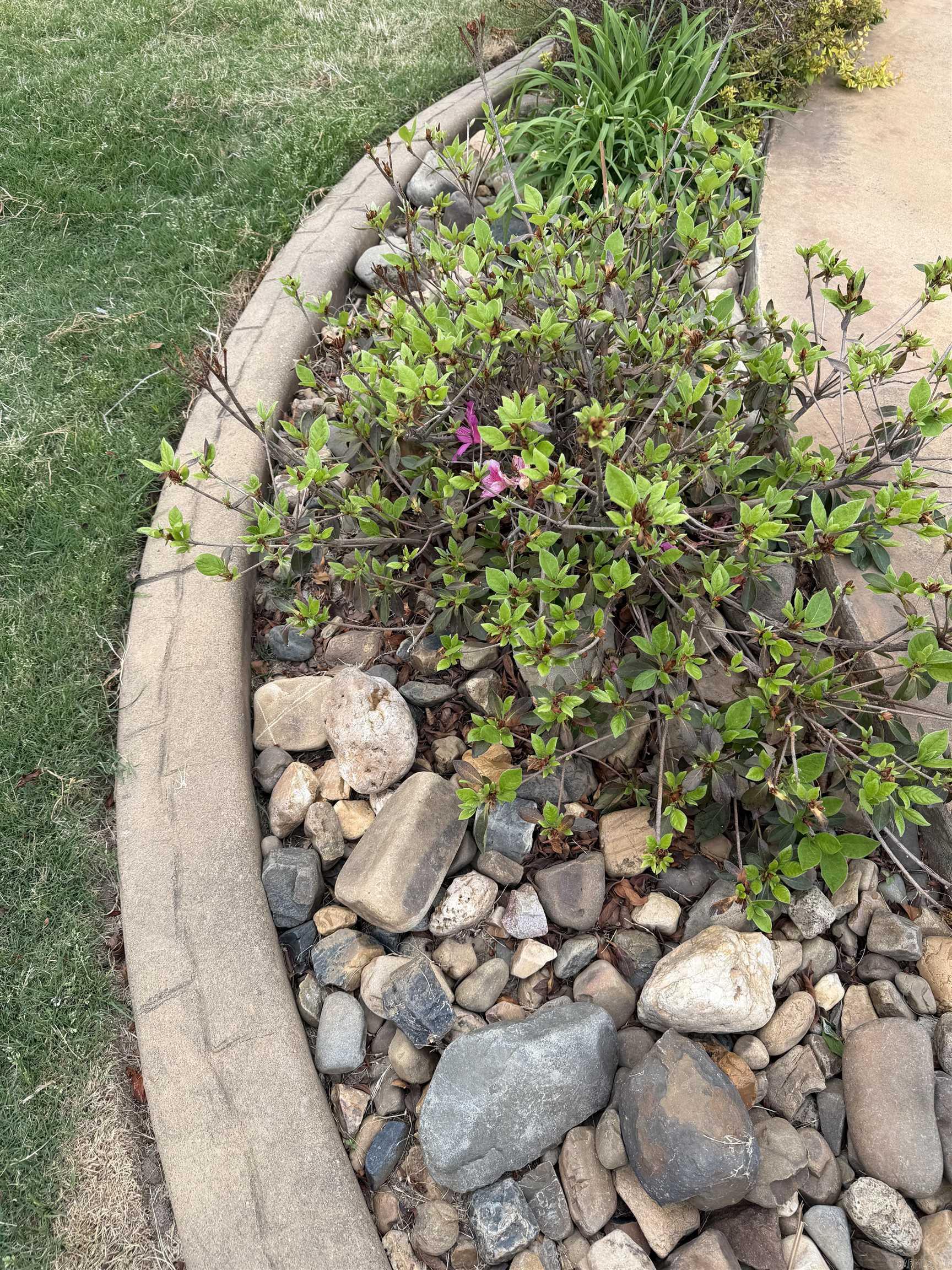 CAROLINE ACRES - Residential