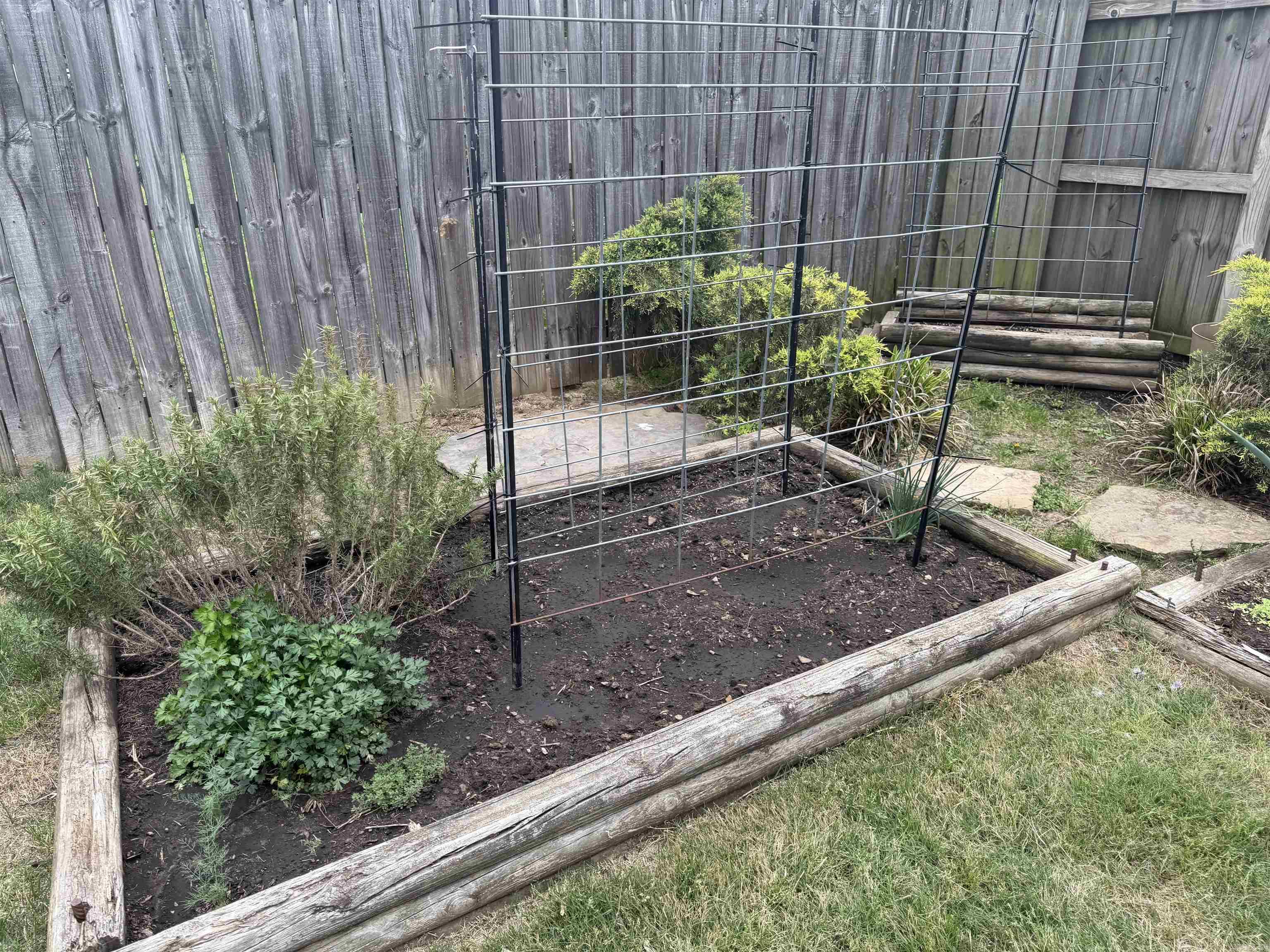 CAROLINE ACRES - Residential