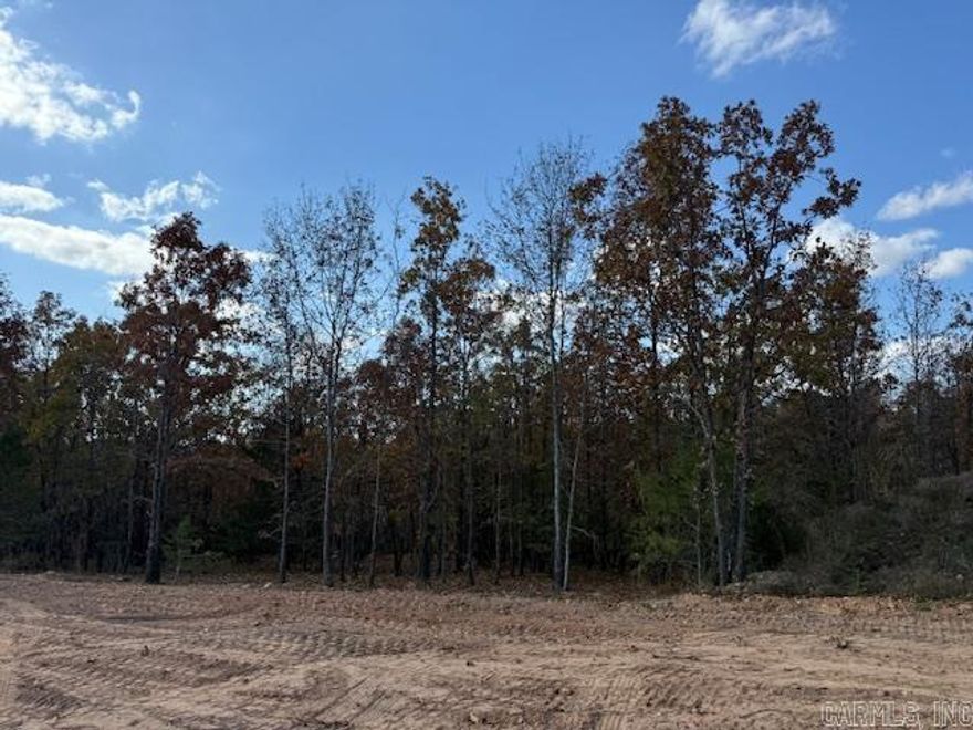 Wooded lot perfect for building your home or building a home to sale.  You could leave trees at the back of the lot for privacy.  All utilities are on the property. 1200 sq. ft. minimum
