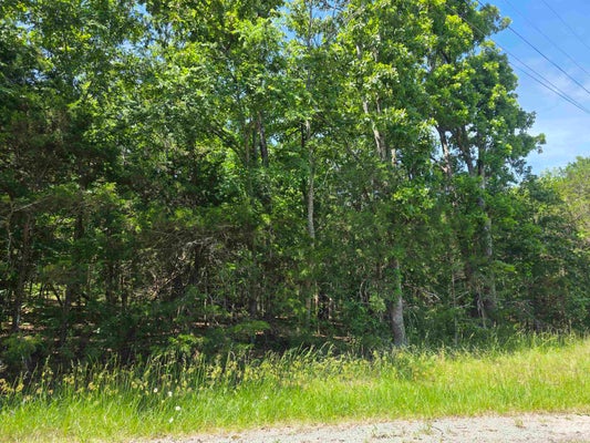 503 DOVE LN, HORSESHOE BEND, AR 72512 - Image cb683fecc45405d67dd34b516fee7bd5/3997909111