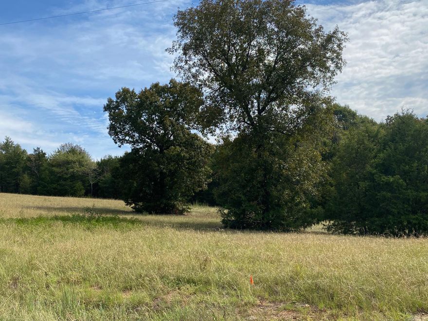 Beautiful 1.53 acre lot in Castlepines Sub. This sub with its hills and easy access to Hwy 65 & Hwy 25 make it a great place to build your dream home. 2500 sq ft minimum build, Sub Plat, Covenants & Restrictions online.