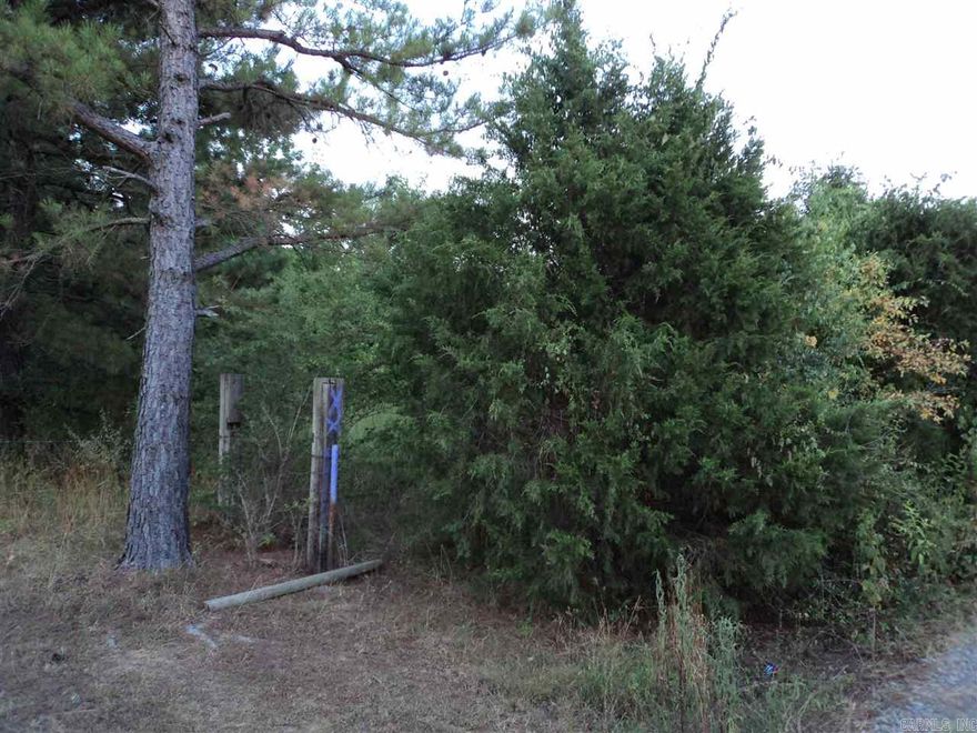 Approx 5 acre pasture. 8.5 Wooded, old mobile and couple of building at no value. One 12x16 Shed in good condition could be turned into hunting cabin. Property adjacent to large tracts of land, lots of deck. Septic system, city water, electric, all on property as well as a well, great hunting spot.