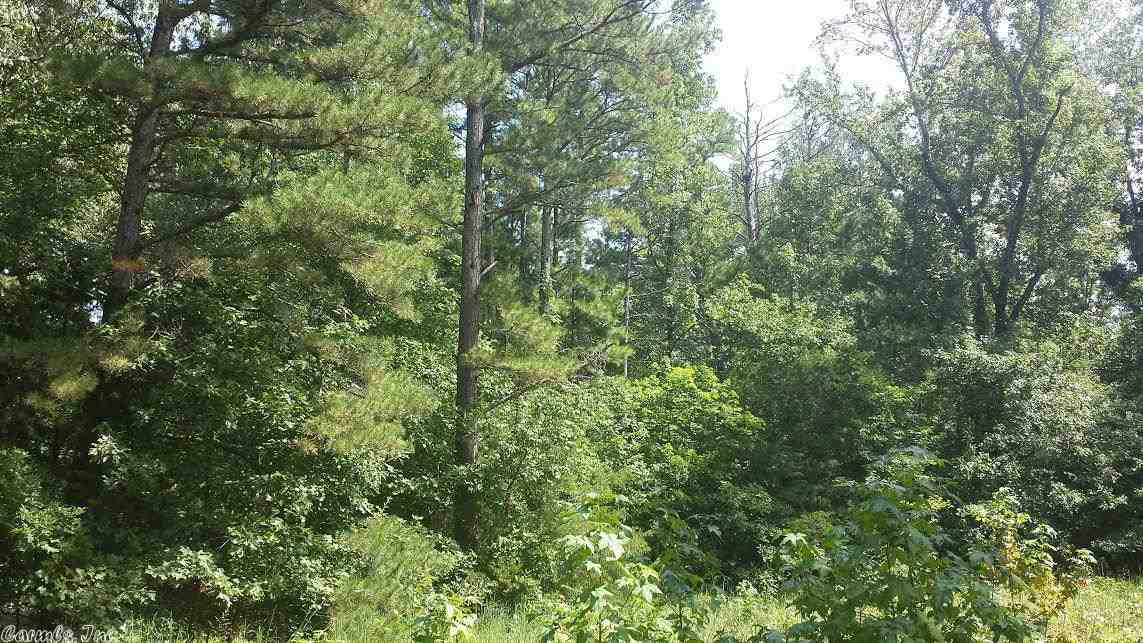 Bullock-Lakeshore - Land