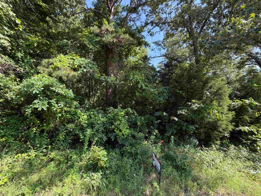 ADDRESS PRIVATE, SPRINGFIELD, AR 72157 - Image cb7db7a08ec2ea89206e058f0af3ed16/2237374775