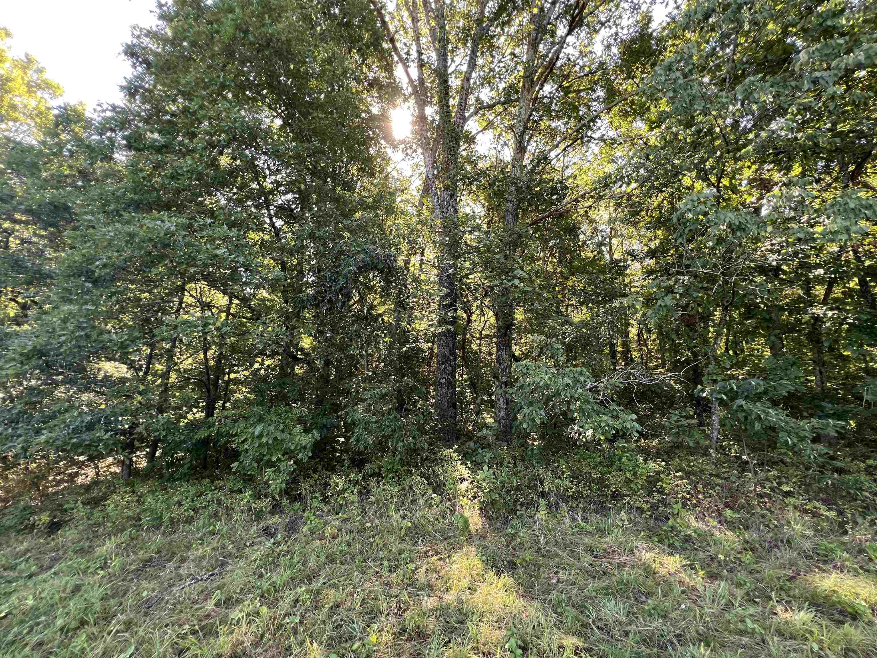 Not in Subdivision - Land