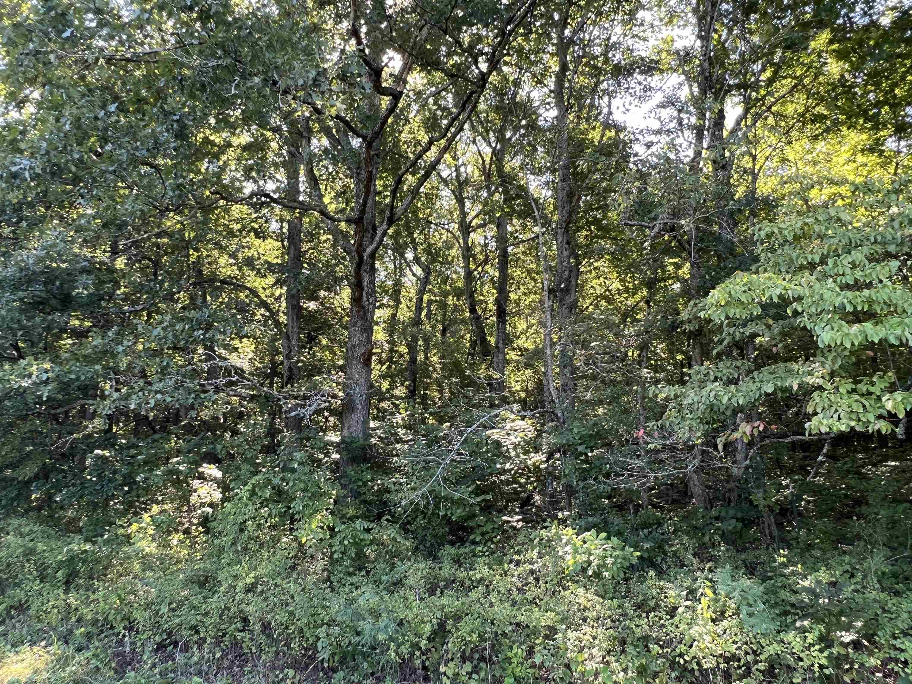 Not in Subdivision - Land