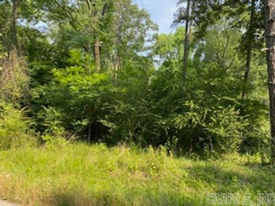 Looking to build your dream home with some acreage look no future. Far enough out of town, yet still close enough to town in minutes. Make an offer today.