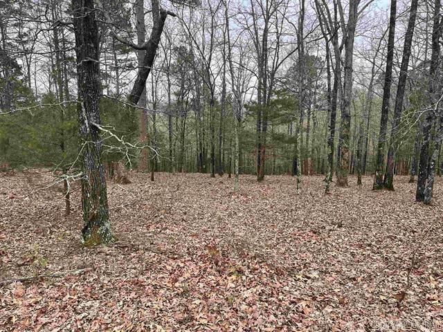 Discover the perfect canvas for your lake area dream home on this beautiful vacant lot on Diamond Bluff Rd! Surrounded by upscale, well-maintained homes, this property offers the ideal blend of privacy, community, and scenic beauty. Located just minutes from the water, it’s the kind of place where morning coffee pairs perfectly with a sunrise and weekend plans start with a boat ride. Whether you're ready to build now or planning for the future, this lot sets the stage for something special. Don’t miss your chance to claim a spot in one of the area's most desirable neighborhoods!