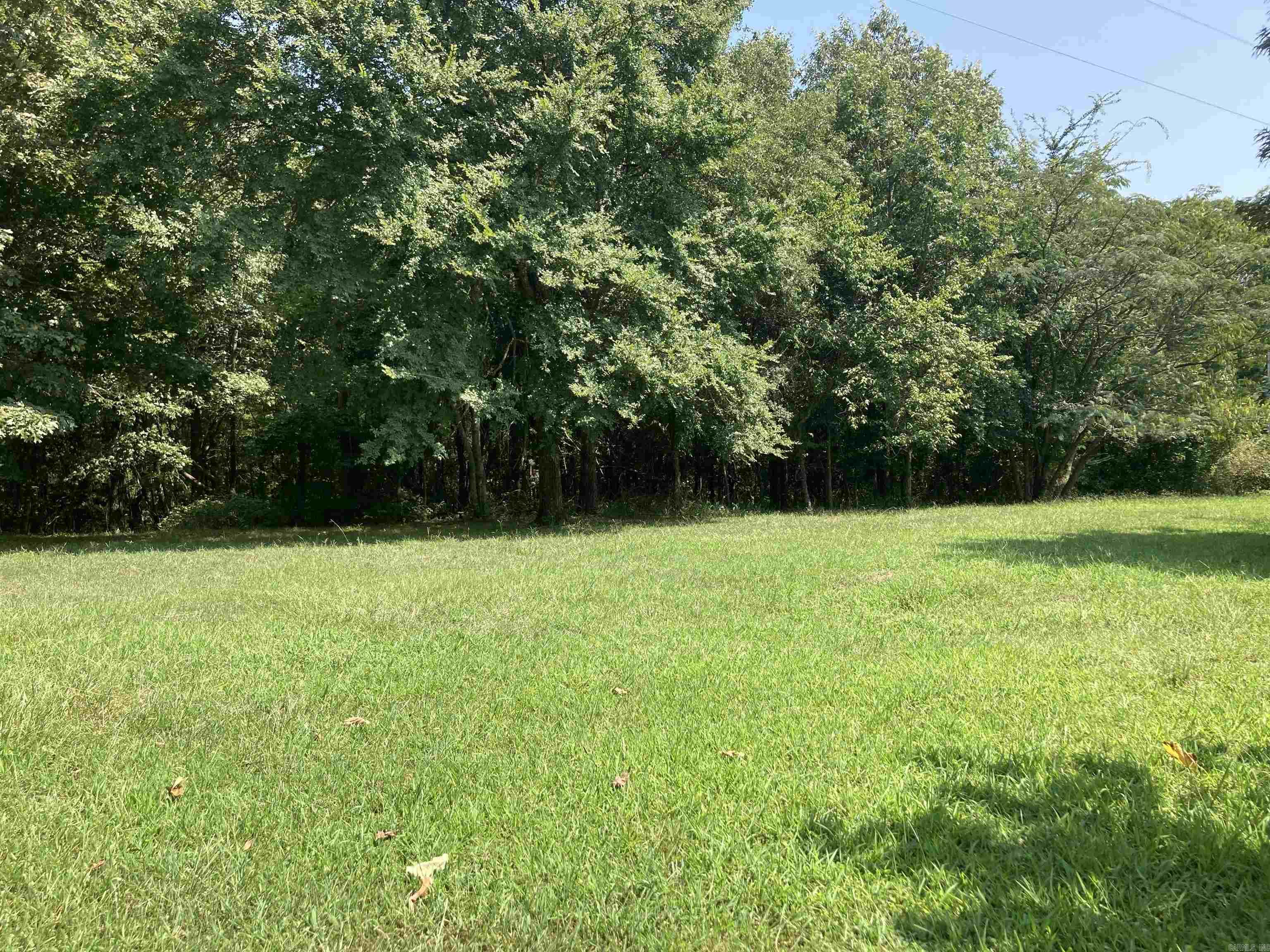 3 acres m/l of UNRESTRICTED land ready for your vision! Water and electricity available on property and close to all cove has to offer, and centrally located between Mena's amenities and the breathtaking Cossatot River State Park for outdoor enthusiast's! Great for a weekend getaway or to put some roots down, come check it out!
