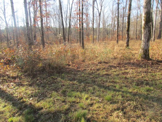 Southern Oaks - Residential