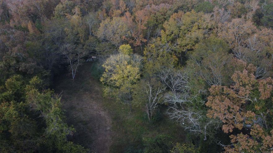 This beautiful 5-acre parcel is tucked away in the woods but close to downtown Hot Springs. Mature hardwoods  provide the perfect setting for your dream home, cabin, or weekend getaway.