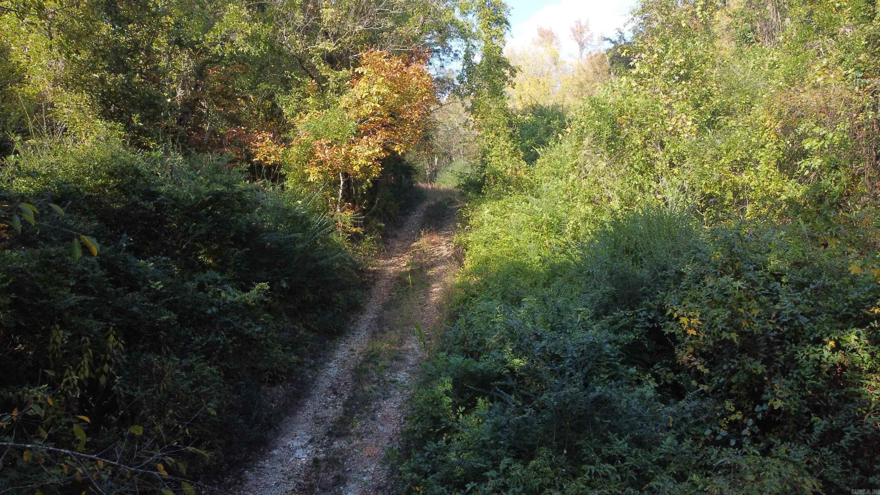 Fountain Lake - Land