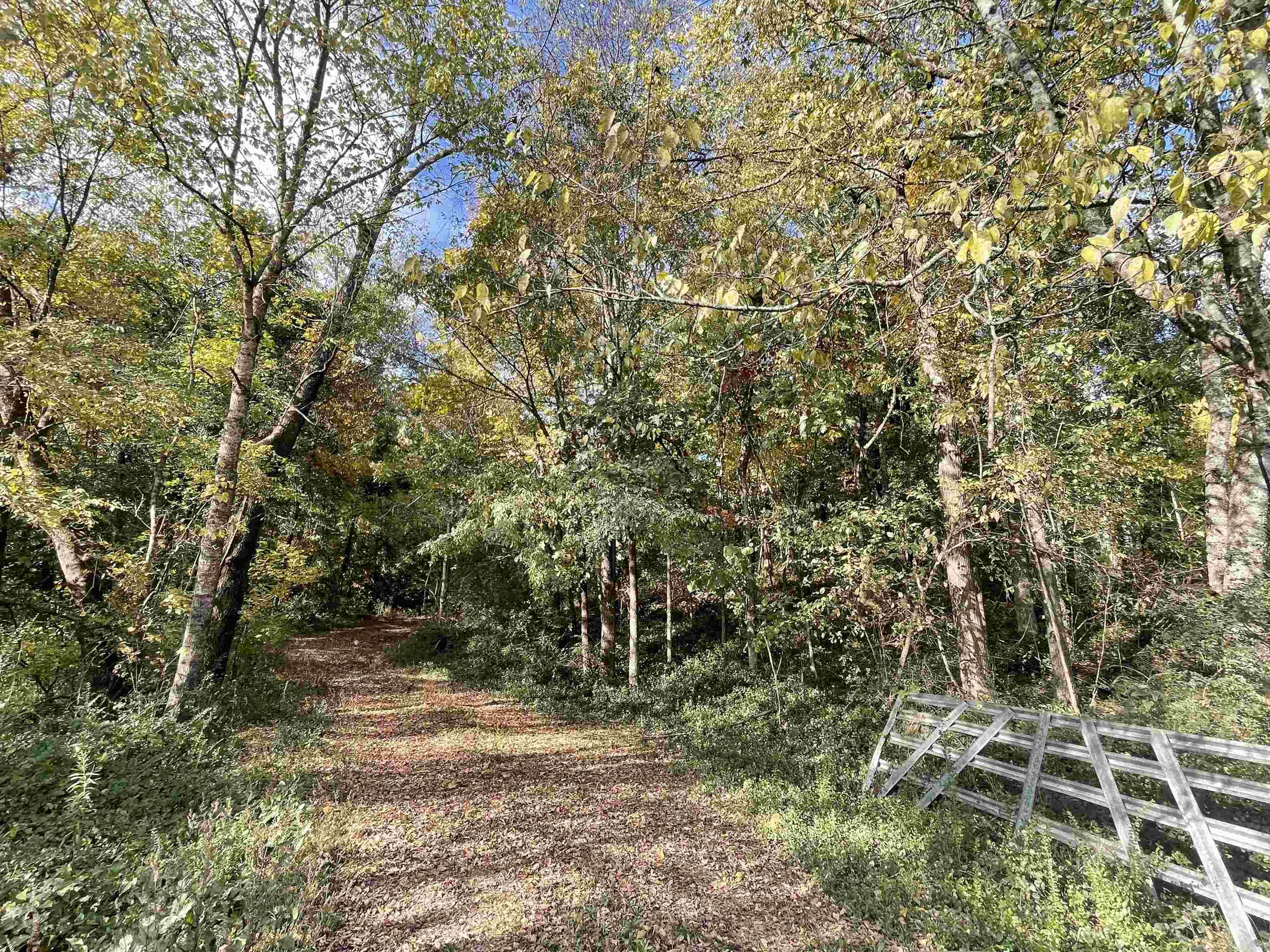 Fountain Lake - Land