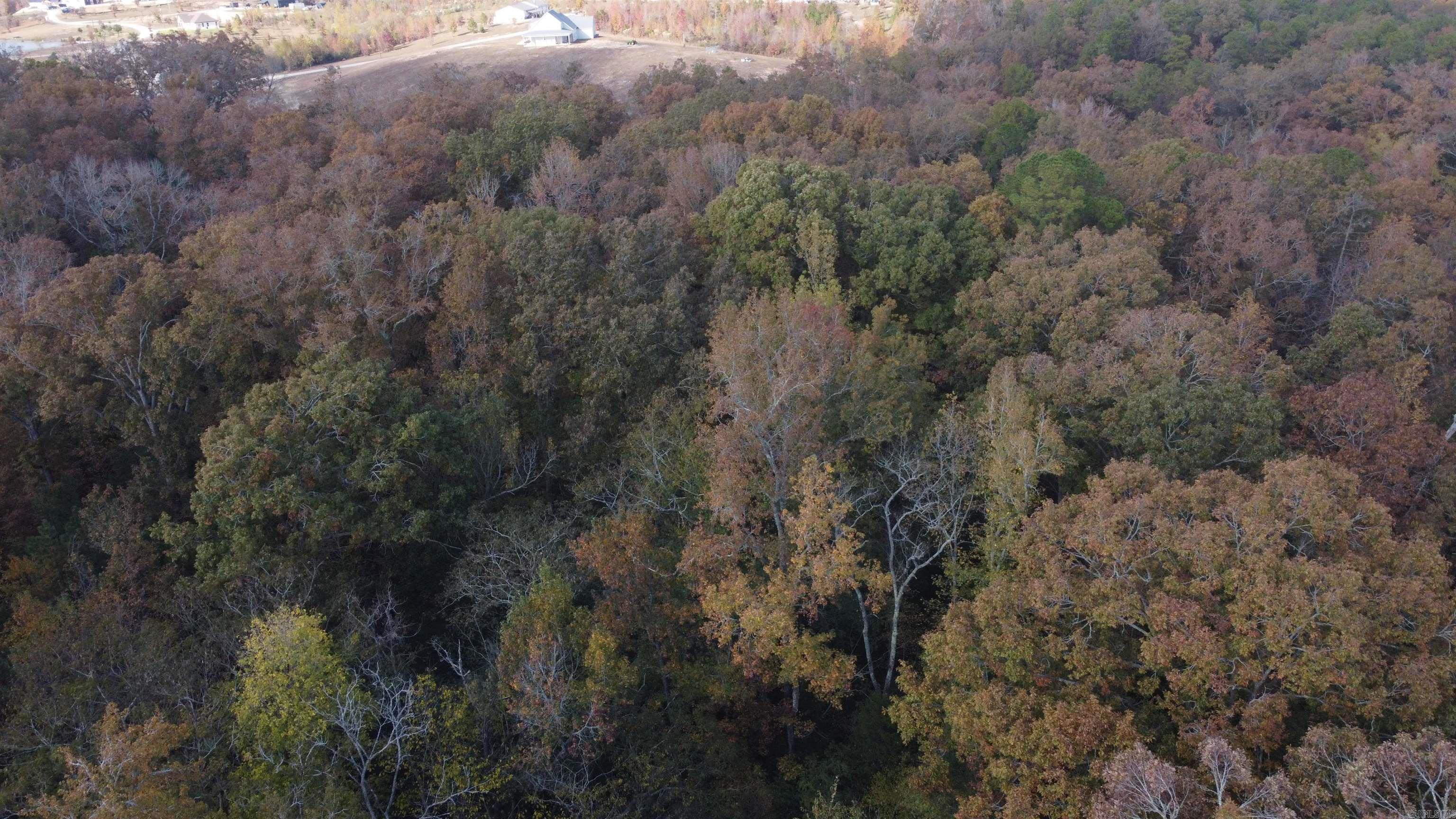 Fountain Lake - Land