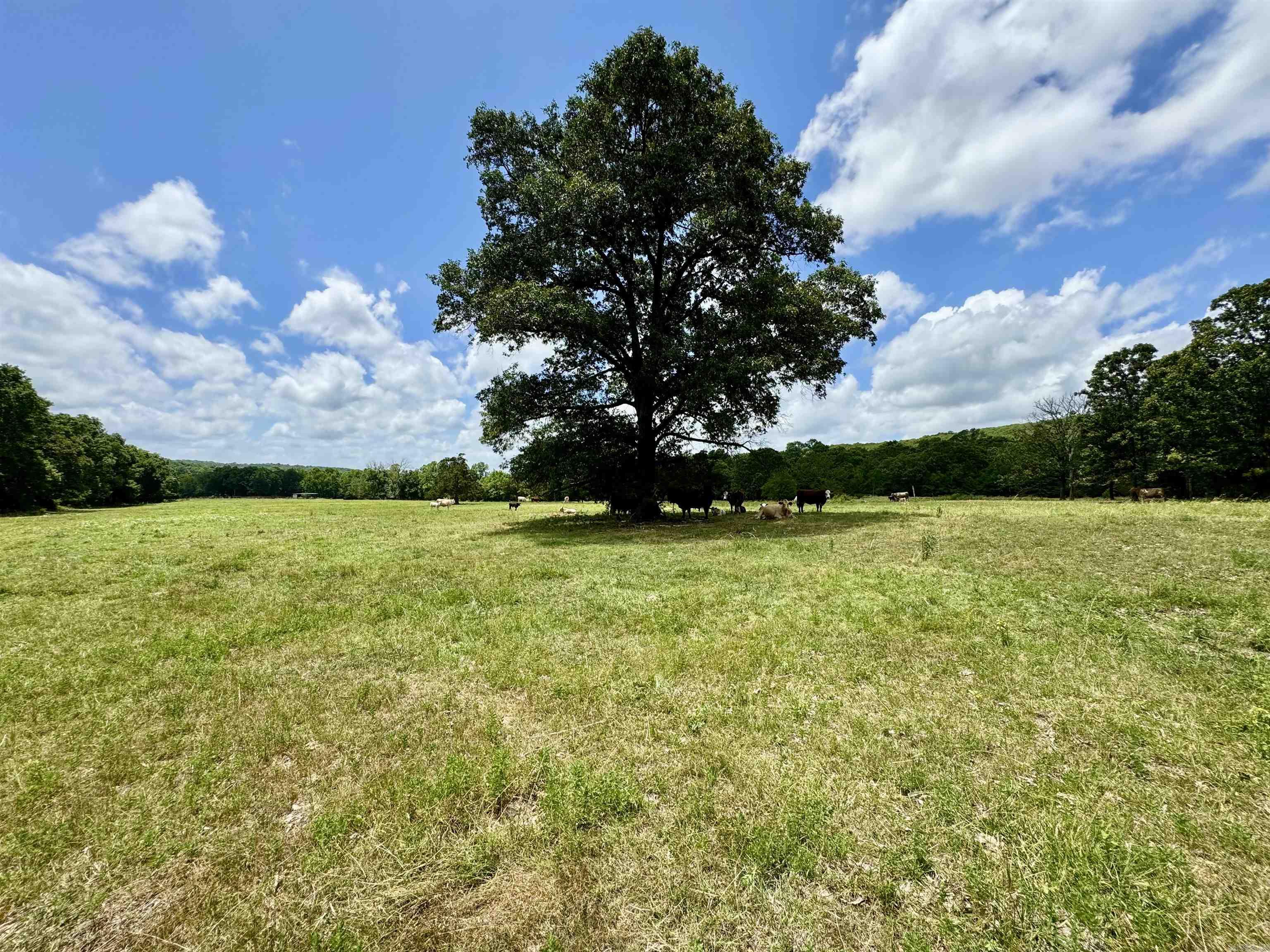 Not in Subdivision - Land