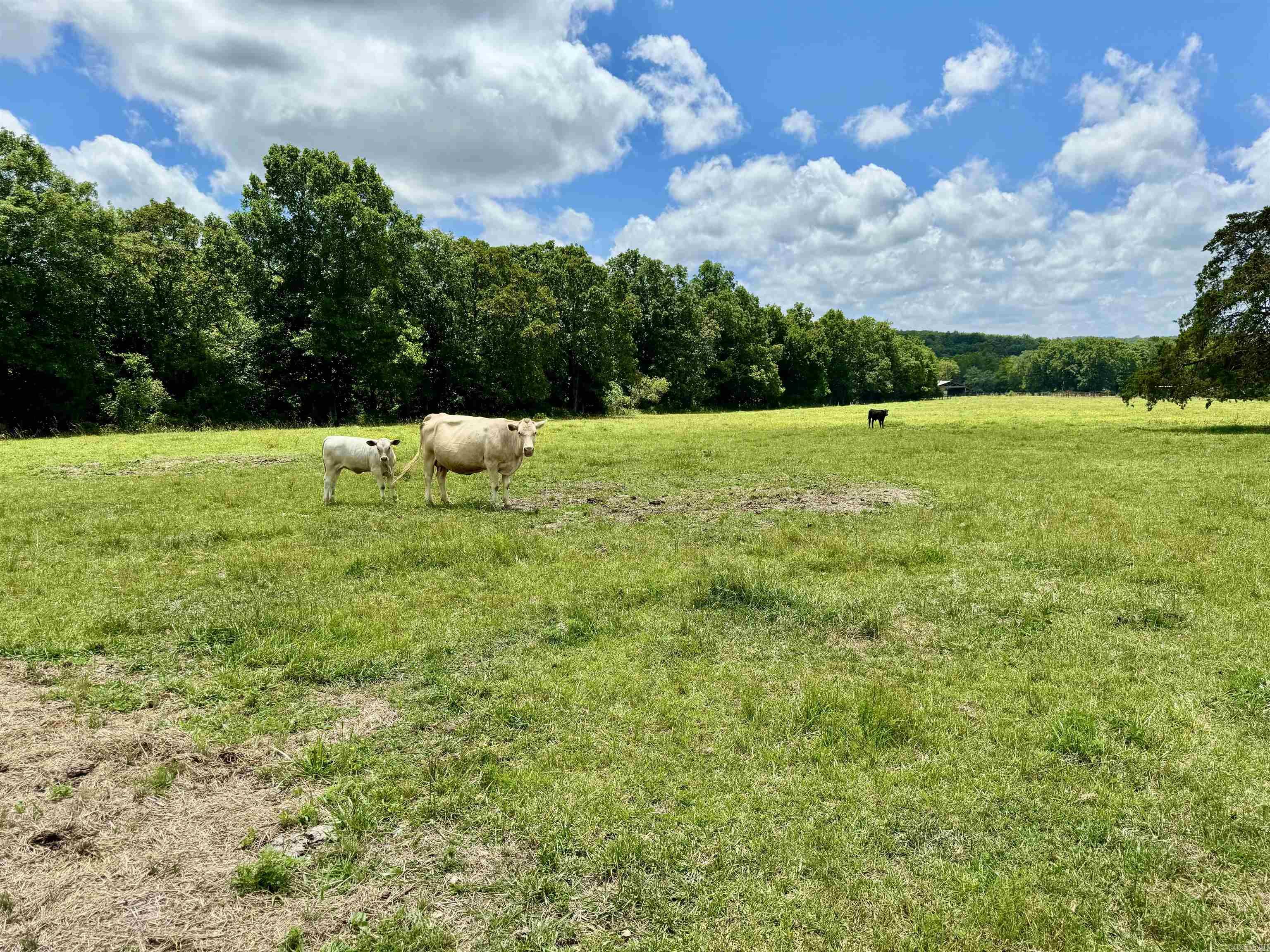 Not in Subdivision - Land