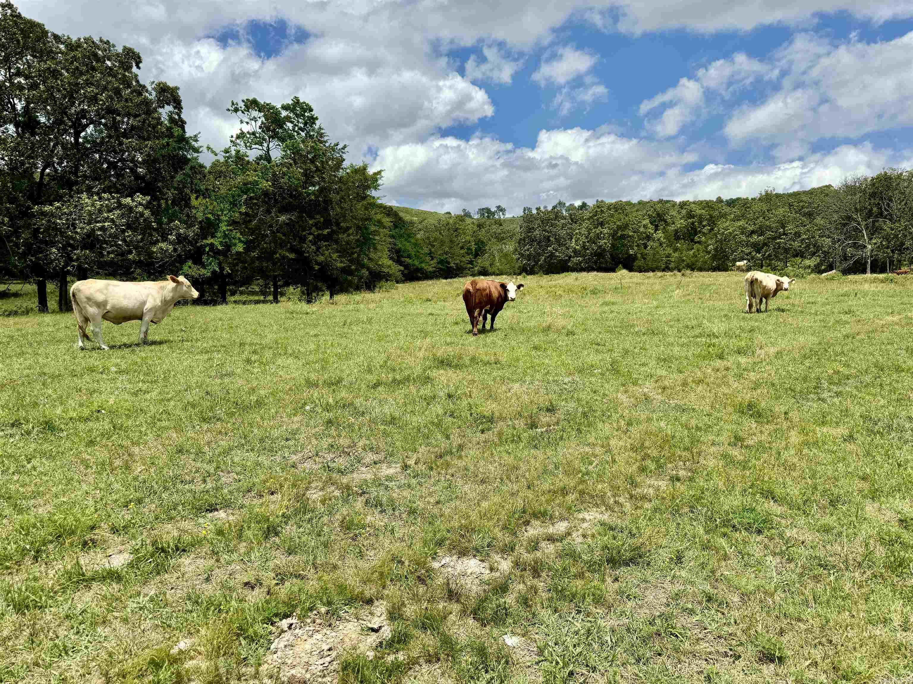 Not in Subdivision - Land