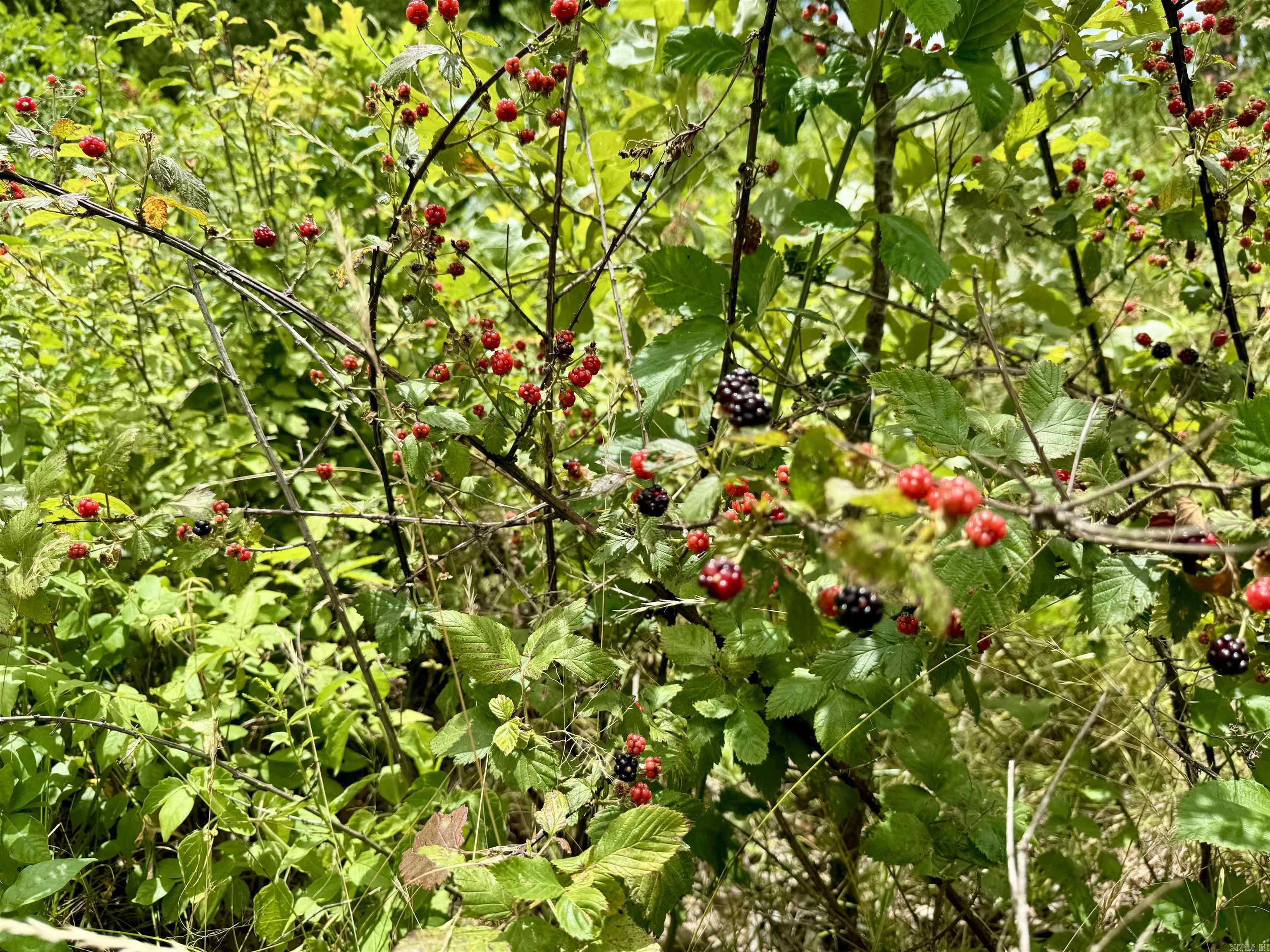 Not in Subdivision - Land