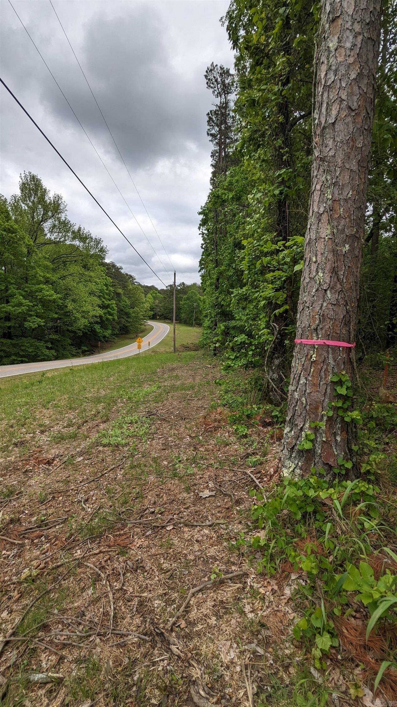 Atop PETIT JEAN MOUNTAIN * 69.98 ACRES * Can also buy 35 Acres for $354,900 * Magnificent vista's, woods, creeks, wildlife galore, mature timber, access to Hwy 154. Perfect for your dream home, retail store/cafe, horseback riding, hunting, hiking, ATV riding, camping, or developing in almost any way. Local airport & Museum of Automobiles atop the mountain. Home of AR 1st State Park featuring: Mather Lodge, Cedar Falls, hiking/biking trails, lg. lake for kayaking/canoeing. Mountain also offers: coffee shops, Winrock International, horseback riding, etc.