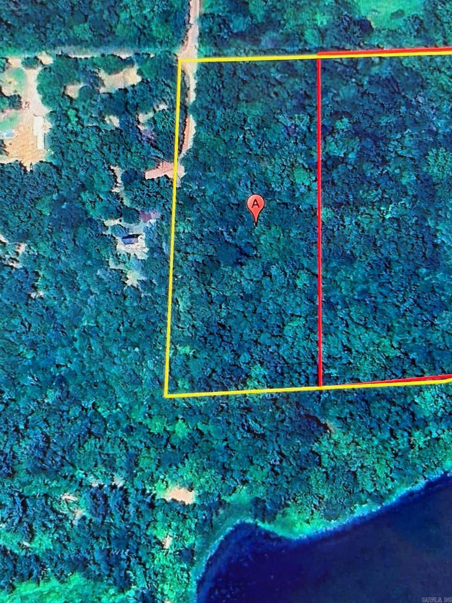 4.33 ACRES OF OPEN LAND WITH MIXED WOODS THAT JOINS THE CORP OF ENGINEERS PROPERTY ON THE SOUTHERN EDGE OF LAKE DARDANELLE/THE ARKANSAS RIVER. GROWN UP IN GRASS & WEEDS BUT WAS CLEARED LAST YEAR. JOINS 100+ ACRES OF CORP OF ENGINEERS LAND/SANDBAR JUST SOUTH OF THIS PROPERTY. GREAT HUNTING AREA WITH DUCKS, DEER, & SMALL GAME GALORE. CLOSE TO WALMART DC #6082, 1ST CHANCE-LAST CHANCE BEER & WINE AT MORRISON'S BLUFF, I-40, & DOWNTOWN CLARKSVILLE.  ELECTRICITY ONSITE, SPADRA RURAL WATER AT GATE. WINTERTIME VIEW OF THE RIVER-LAKE.