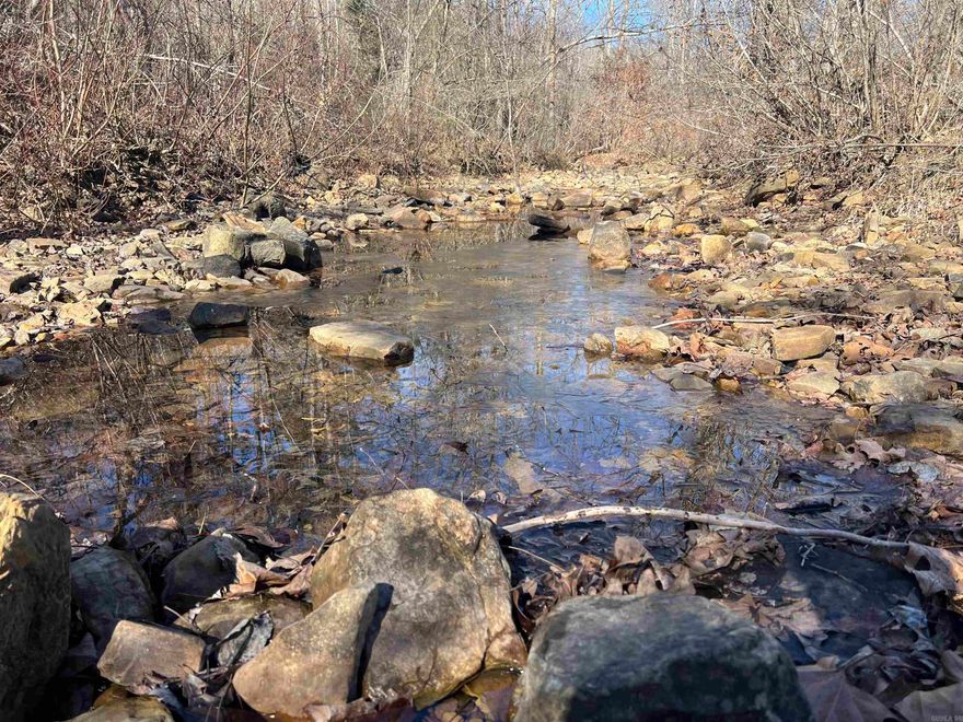 17 Acres +/- of recreational timberland featuring a creek and legal access through a 30-foot wide road and utilities easement—perfect for hunting, exploring, or simply enjoying the outdoors. If you’ve been looking for a private getaway or a place to start your homestead dream, this could be the one for you!