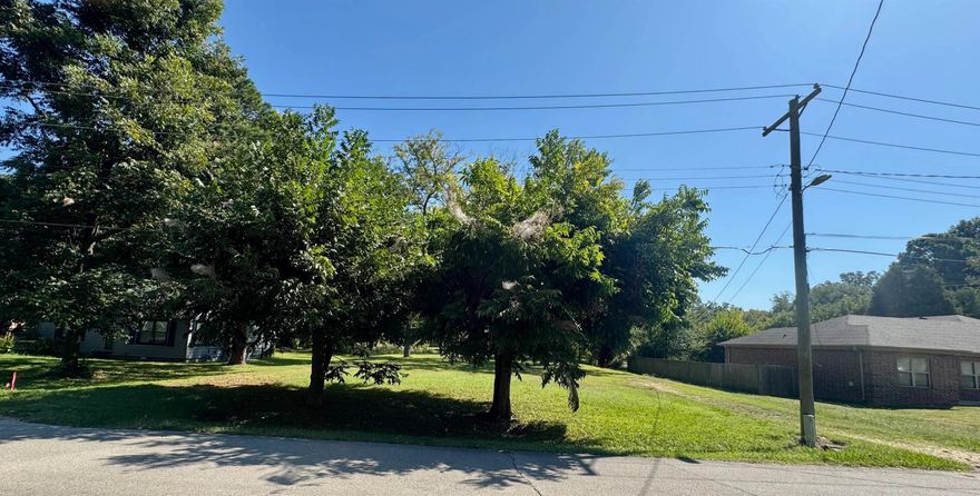 Looking for land to build your investment property? This parcel of land is ready to go. The .44 acre parcel of flat land is ready to go. It is 106' across the front and 180' deep according to the survey. There are 2 potential driveways and 2 nice pecans trees that are beside the road too.