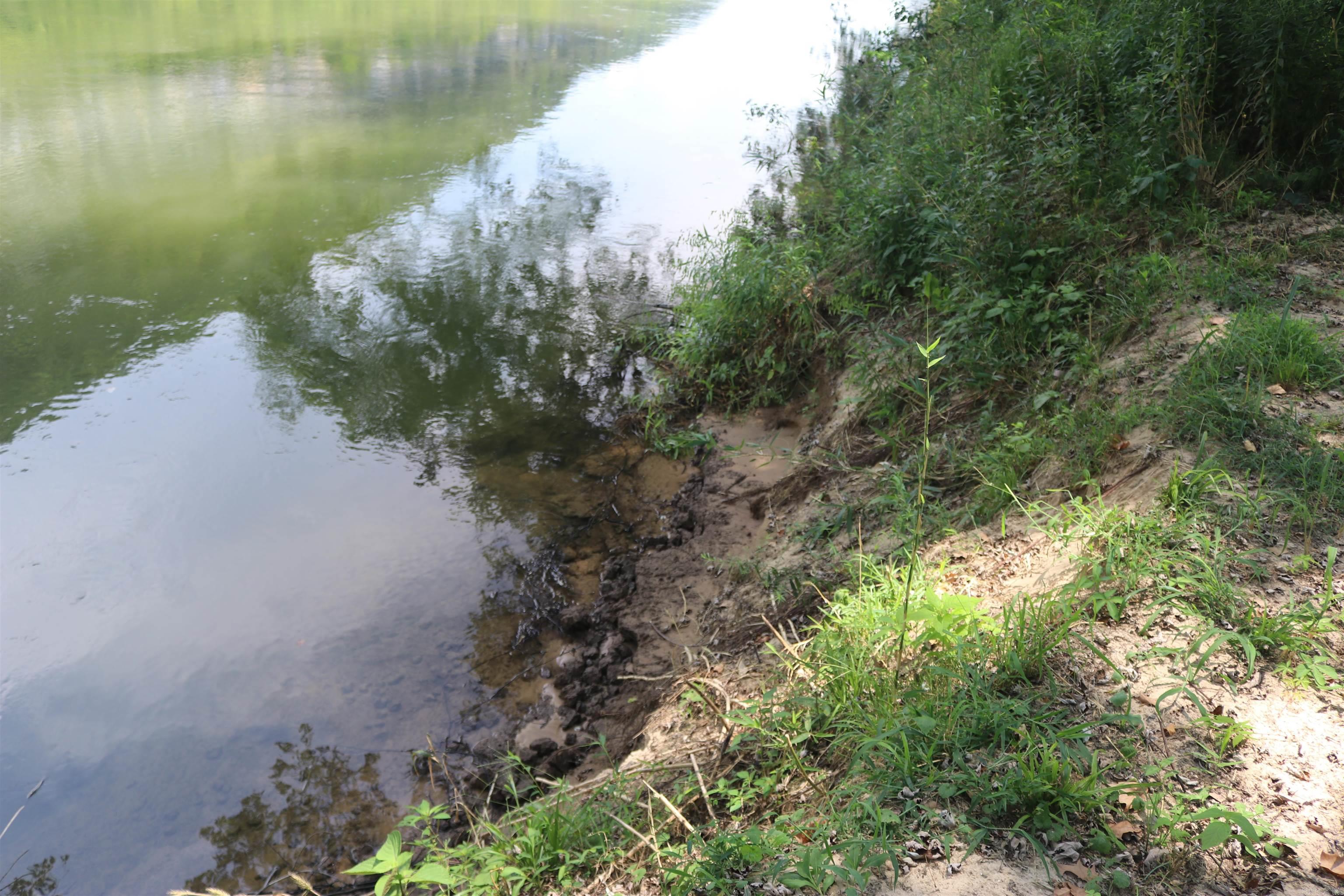 HANDFORD BLUFF VIEW ACRES - Land