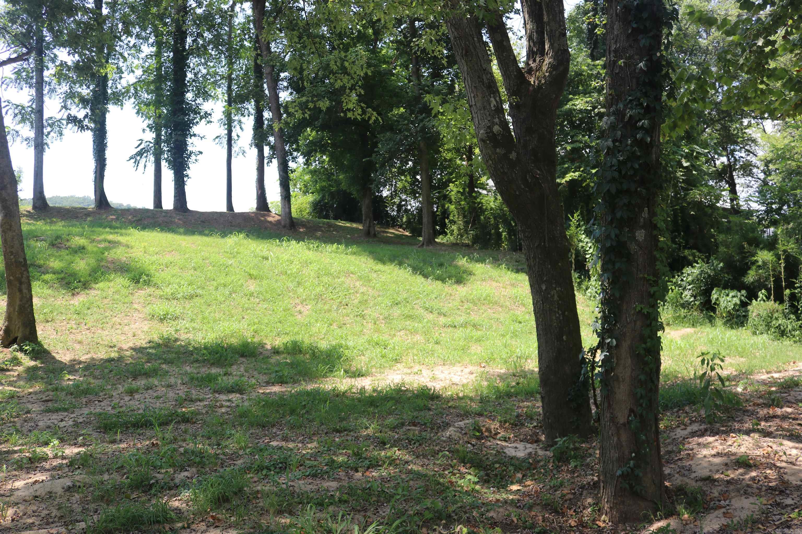 HANDFORD BLUFF VIEW ACRES - Land
