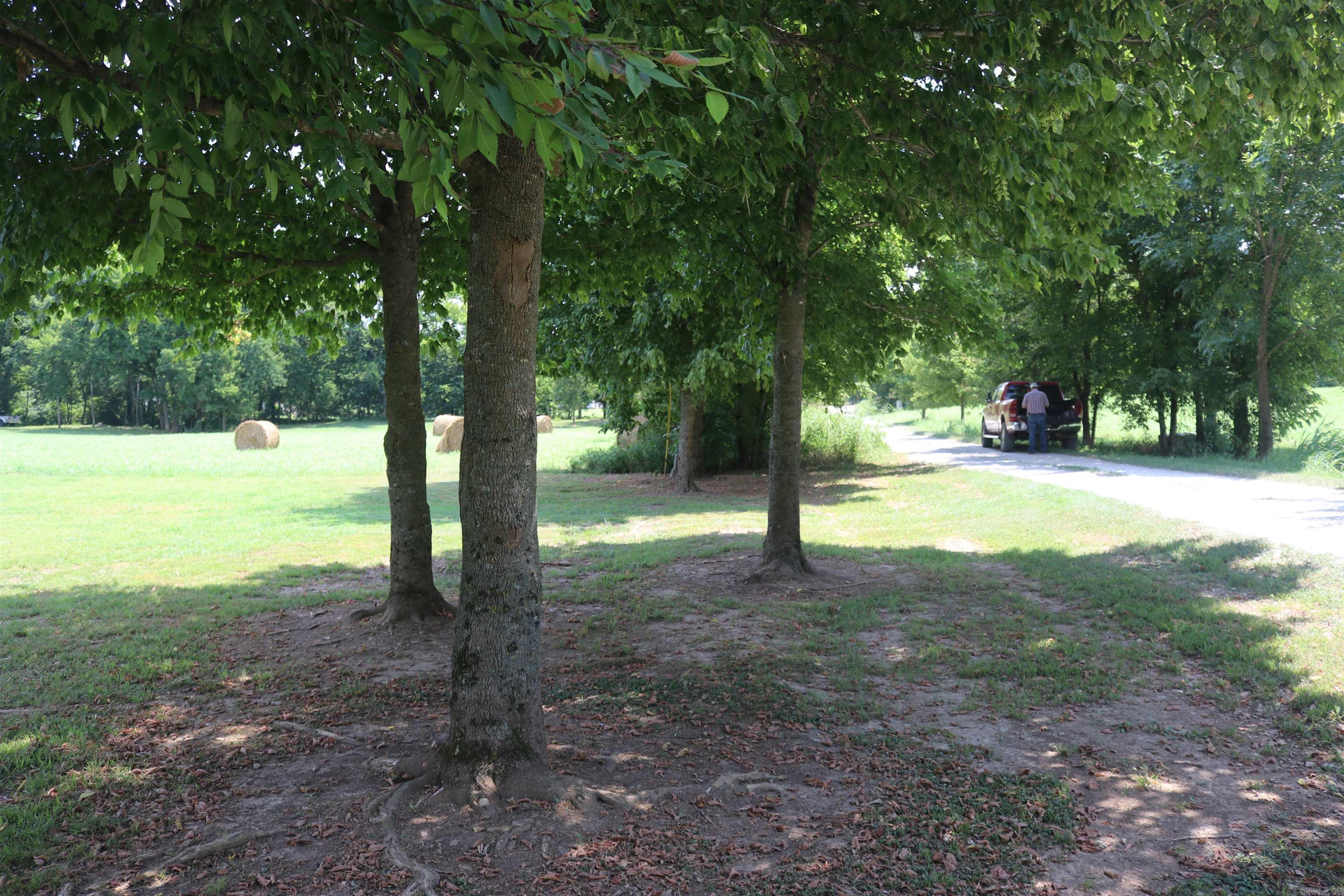 HANDFORD BLUFF VIEW ACRES - Land