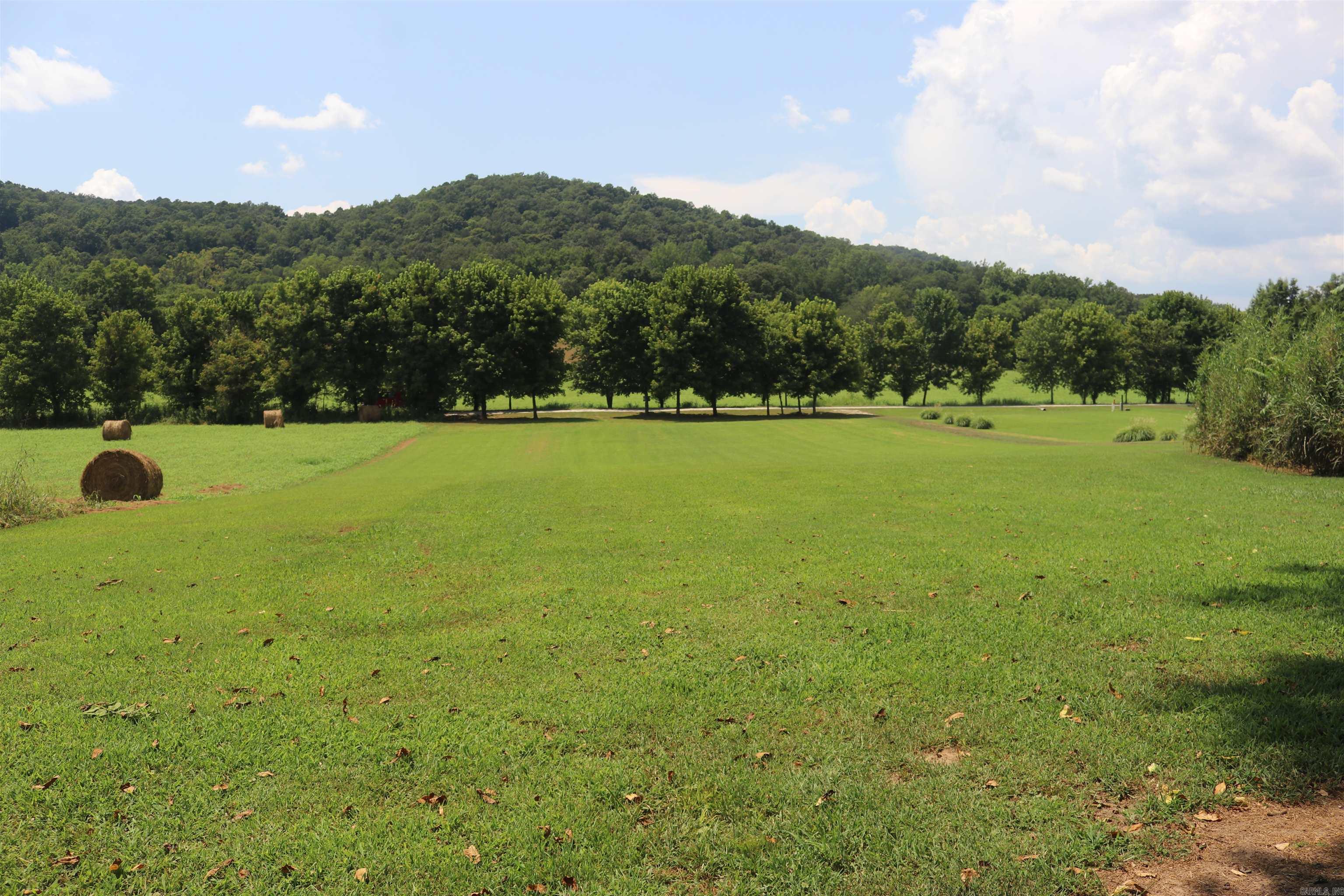 HANDFORD BLUFF VIEW ACRES - Land