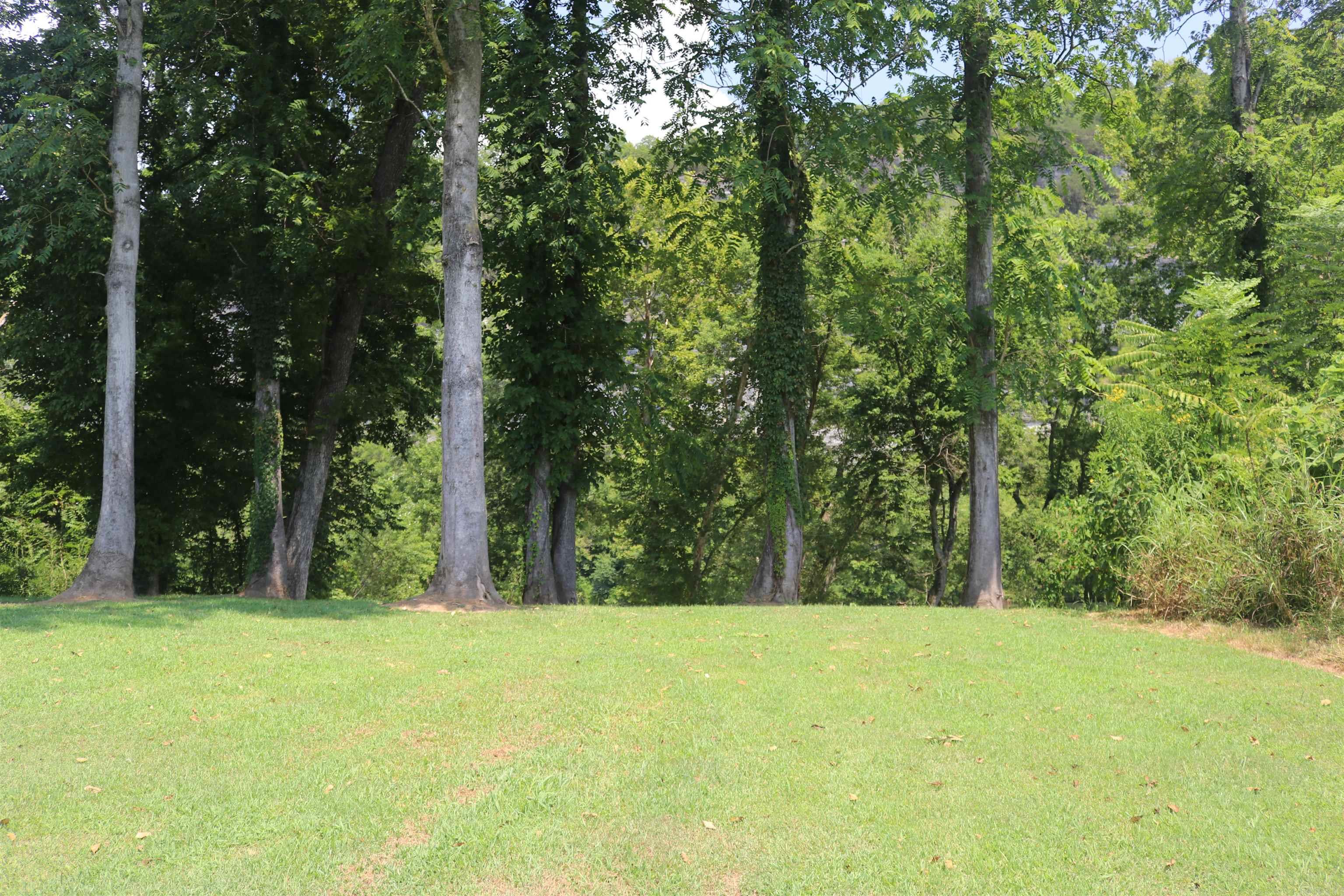 HANDFORD BLUFF VIEW ACRES - Land