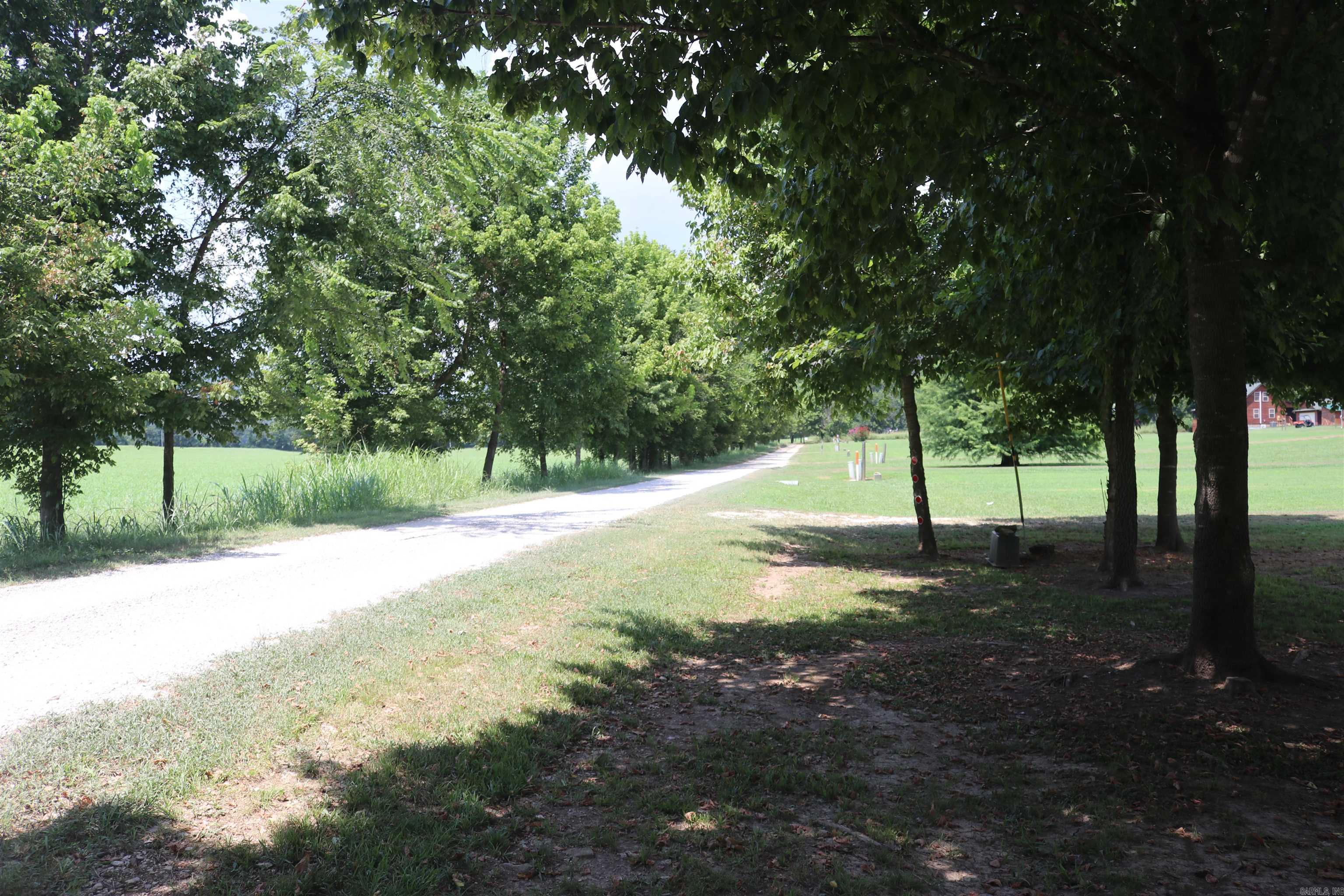 HANDFORD BLUFF VIEW ACRES - Land