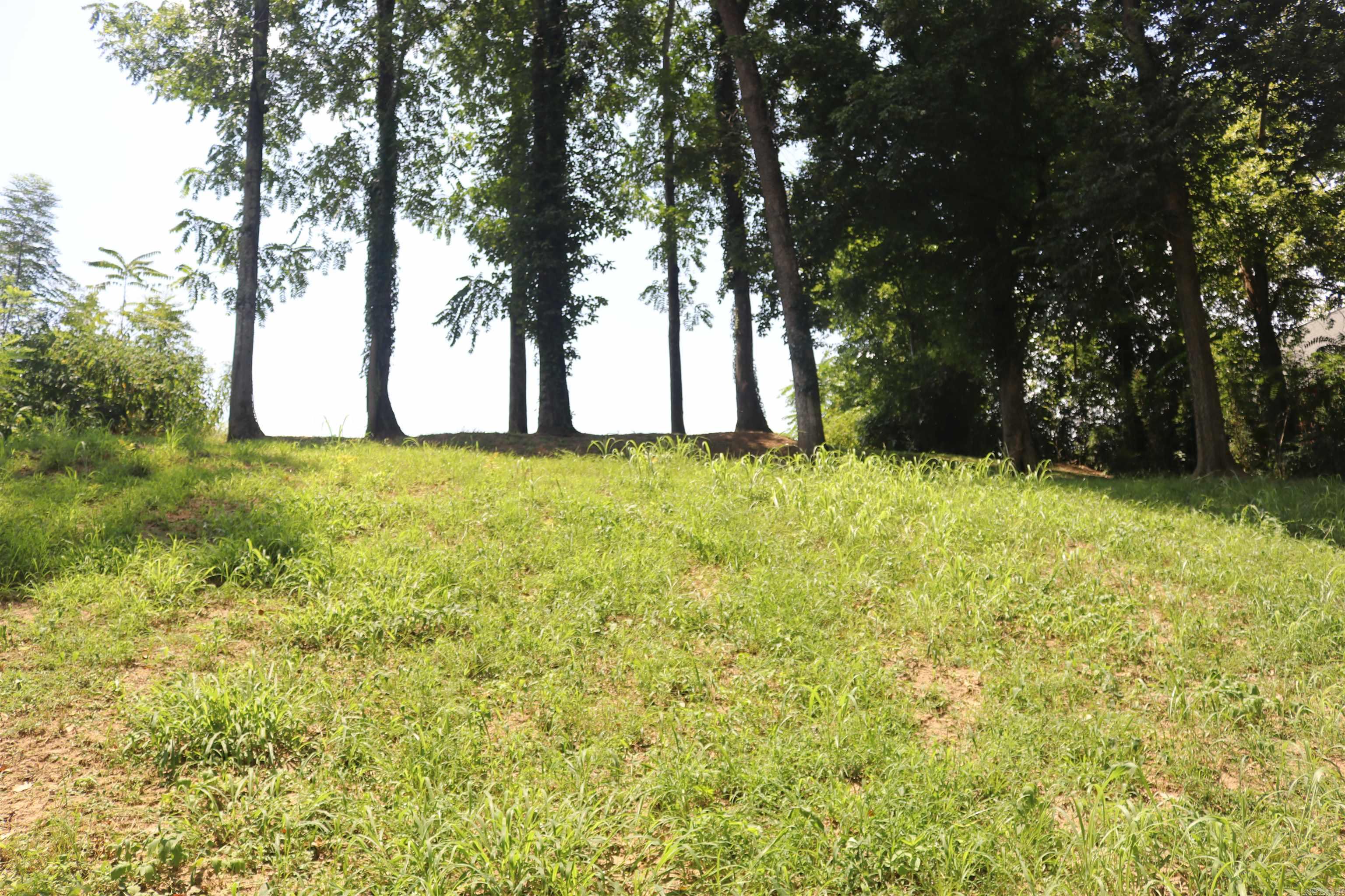 HANDFORD BLUFF VIEW ACRES - Land