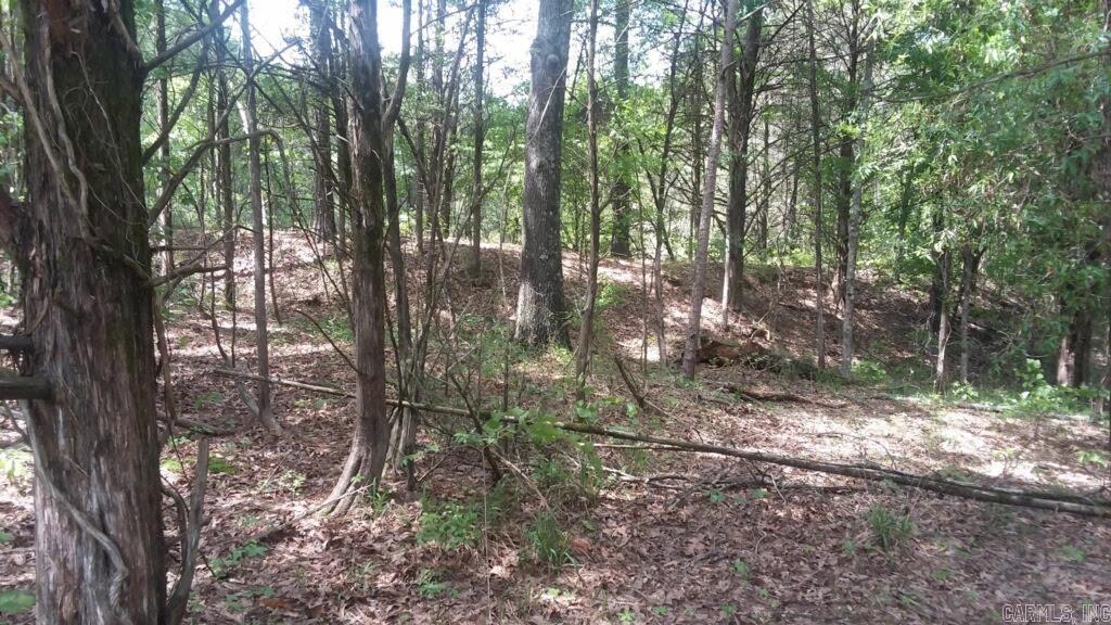 Cedar Park Estates - Land